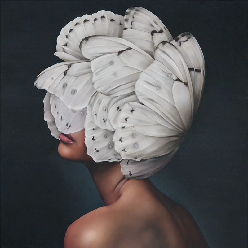 Amy Judd, Butterfly Effect, 2024