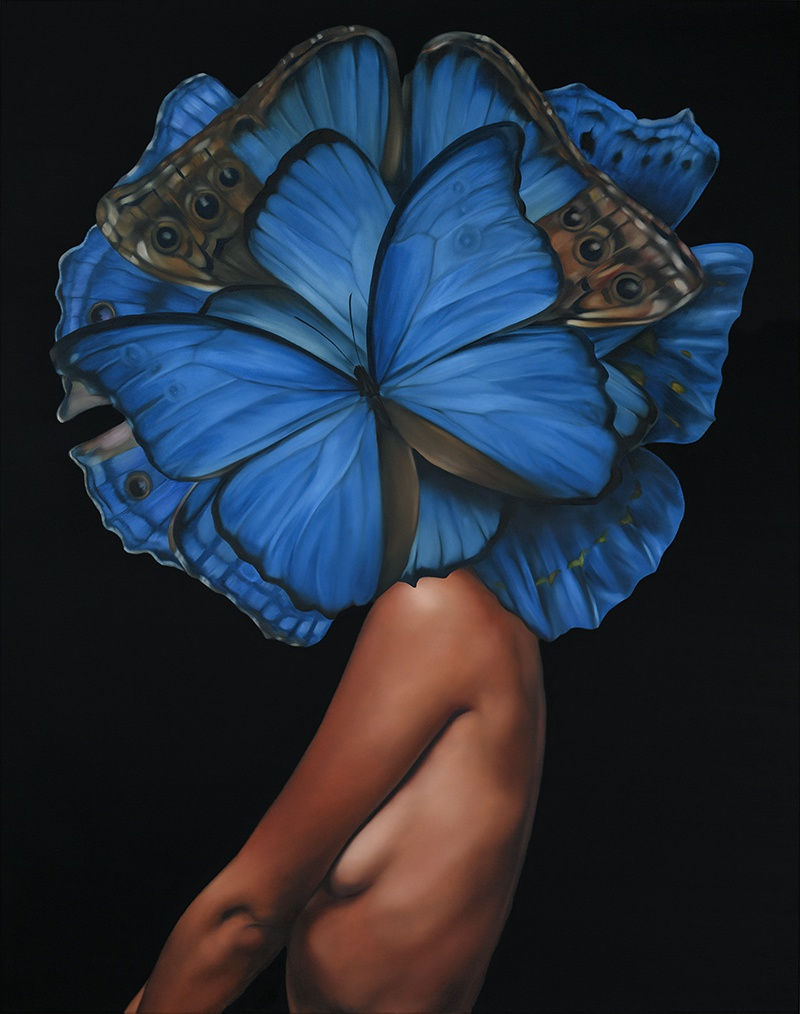 Amy Judd, Blue Velvet , 2024