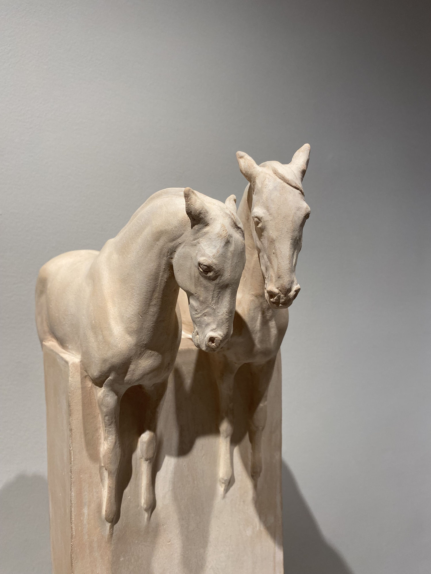 Tyler Robertson | A HERO'S JOURNEY