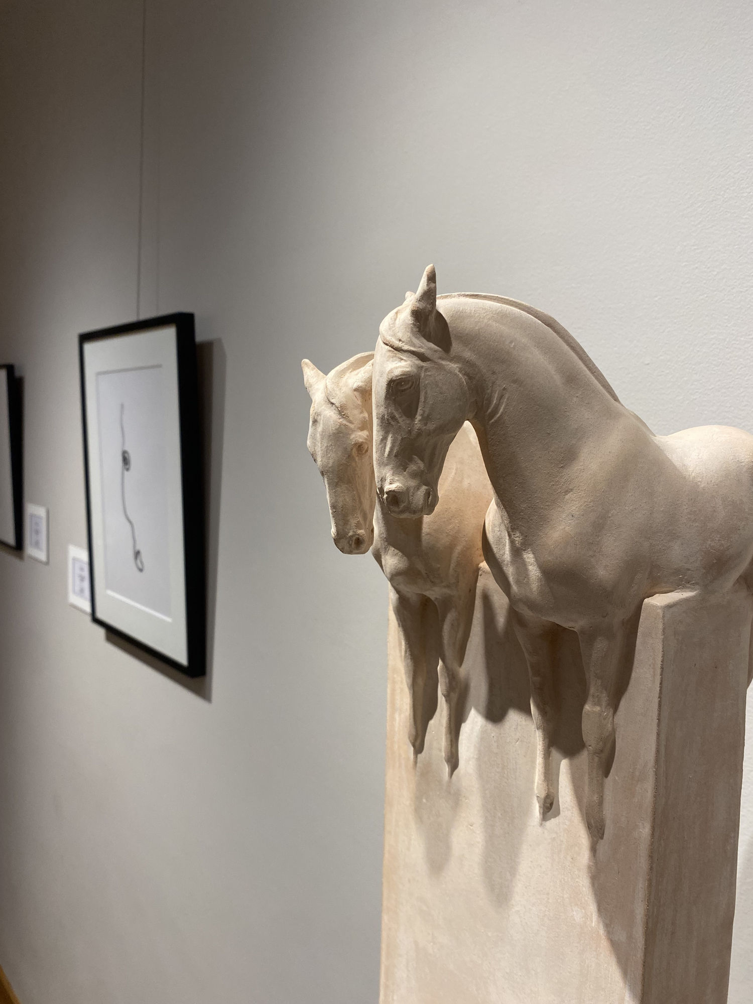 Tyler Robertson | A HERO'S JOURNEY