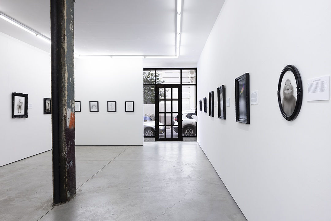 installation photo of travis louie exhibition