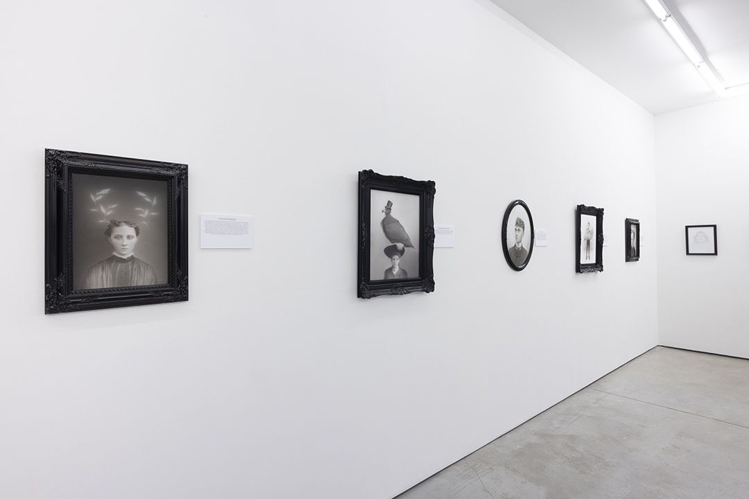 installation photo of travis louie exhibition