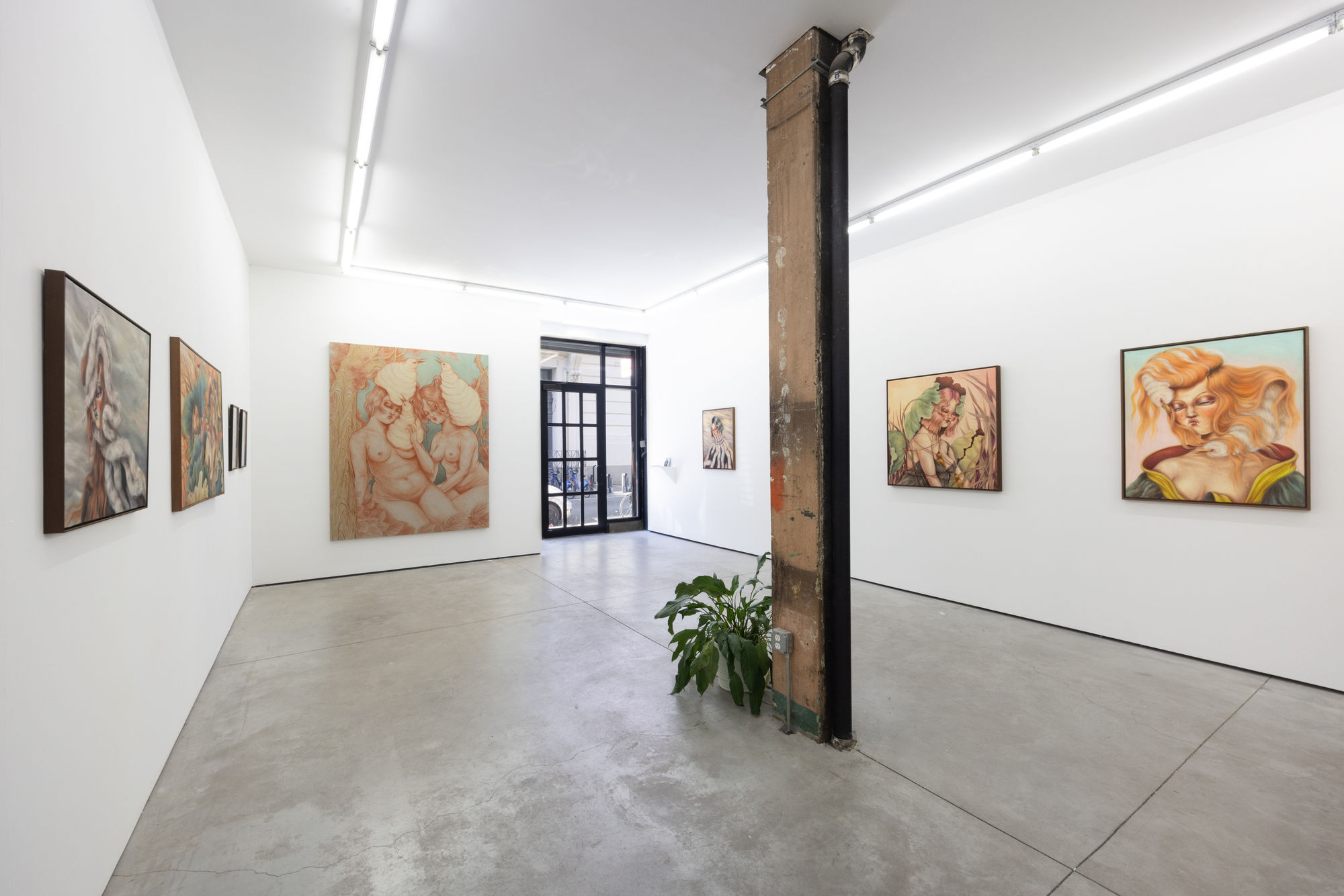 Installation image from Miss Van's "Evanescent Splendor"