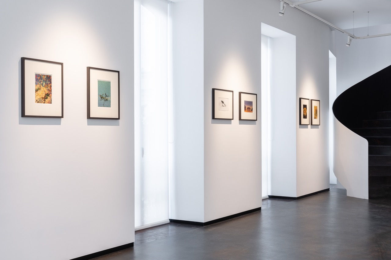 The Mouth of Krishna