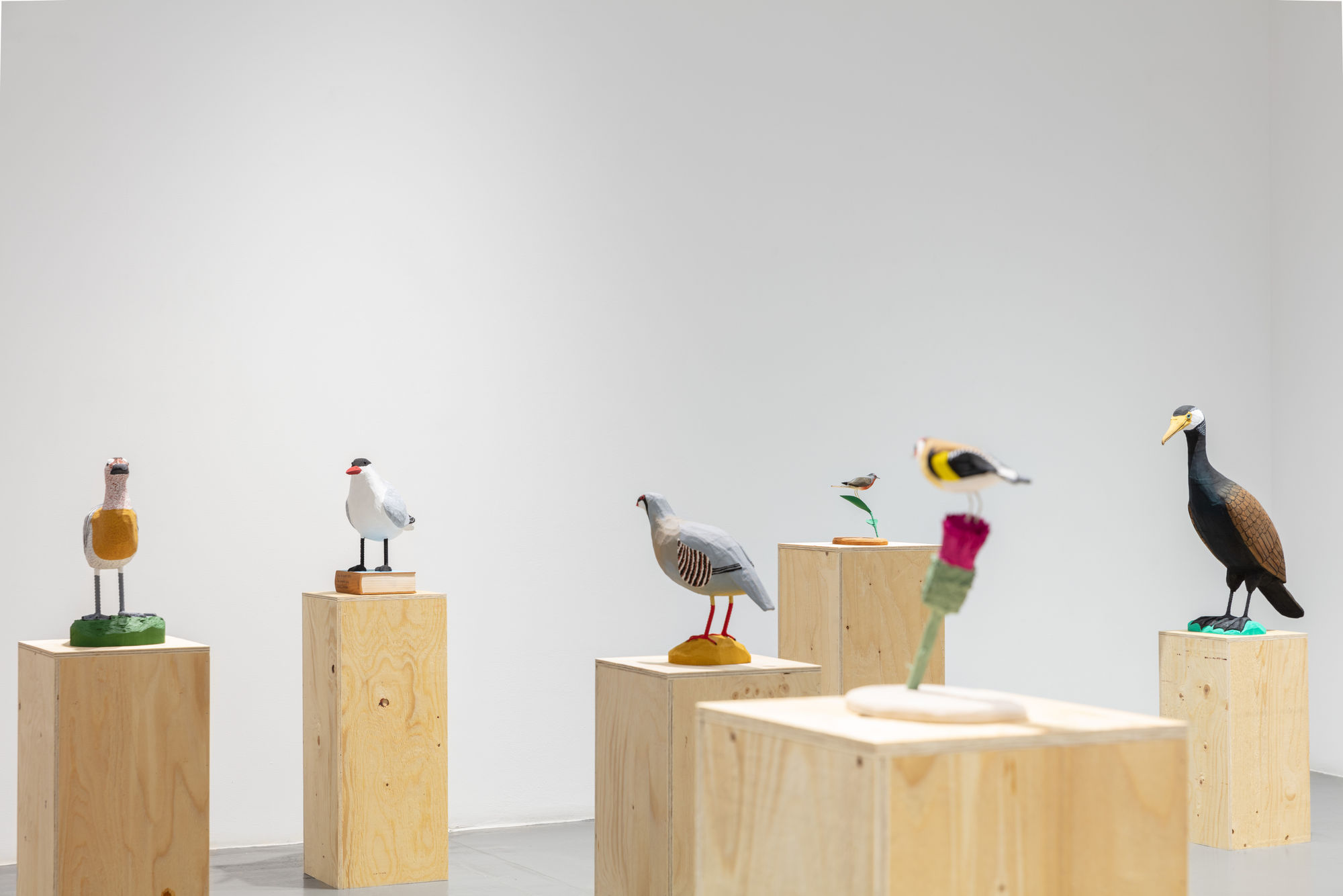 Richard Johansson | Fåglarna / The Birds