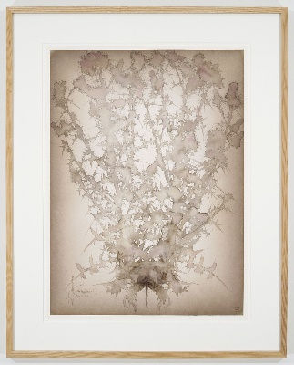 Roger Andersson | The Last Day