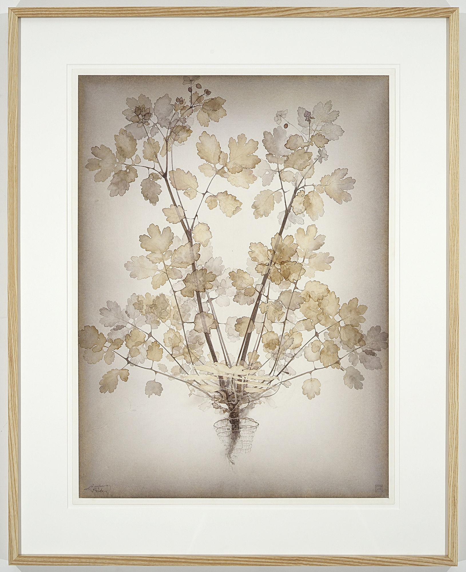 Roger Andersson | The Last Day