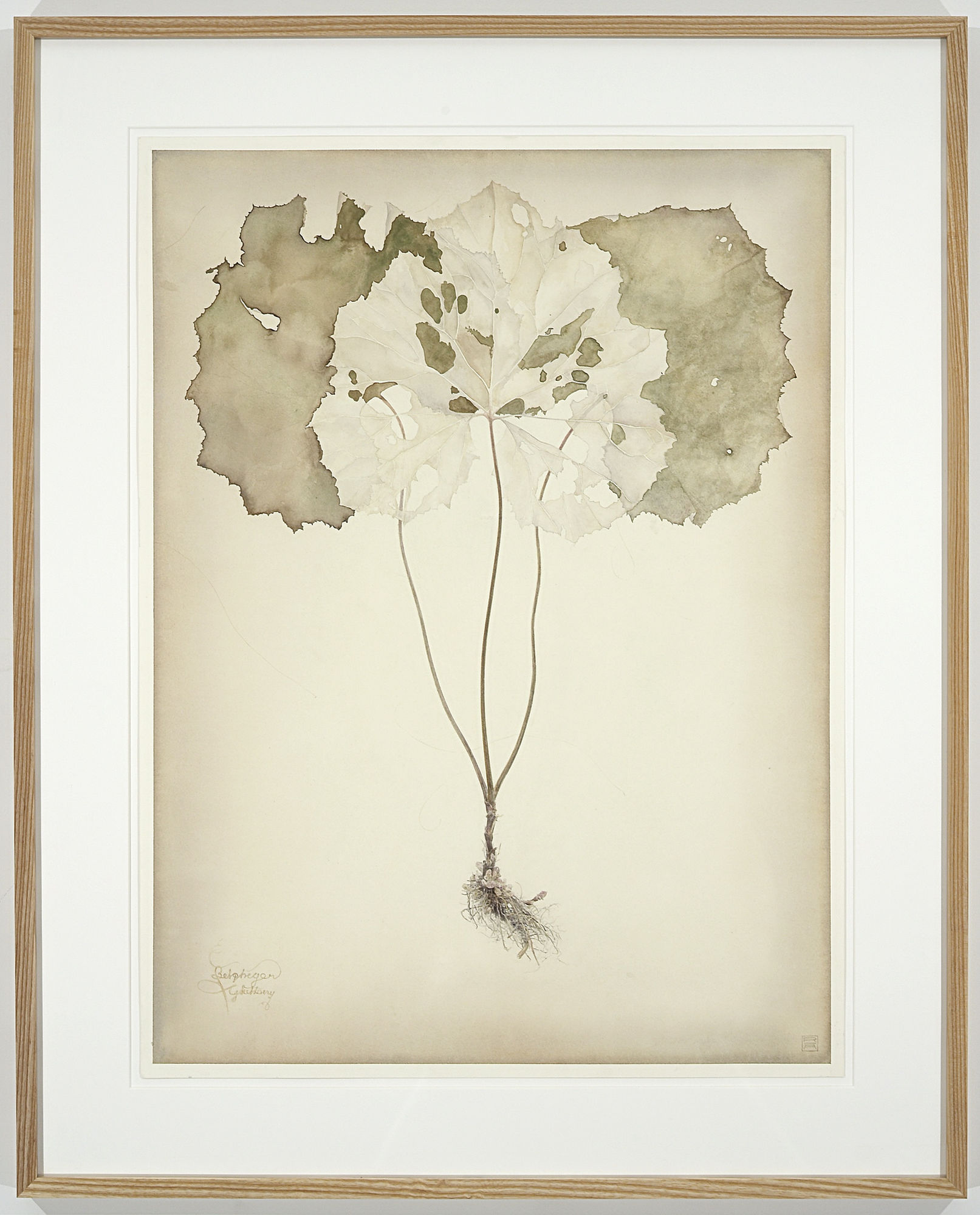 Roger Andersson | The Last Day