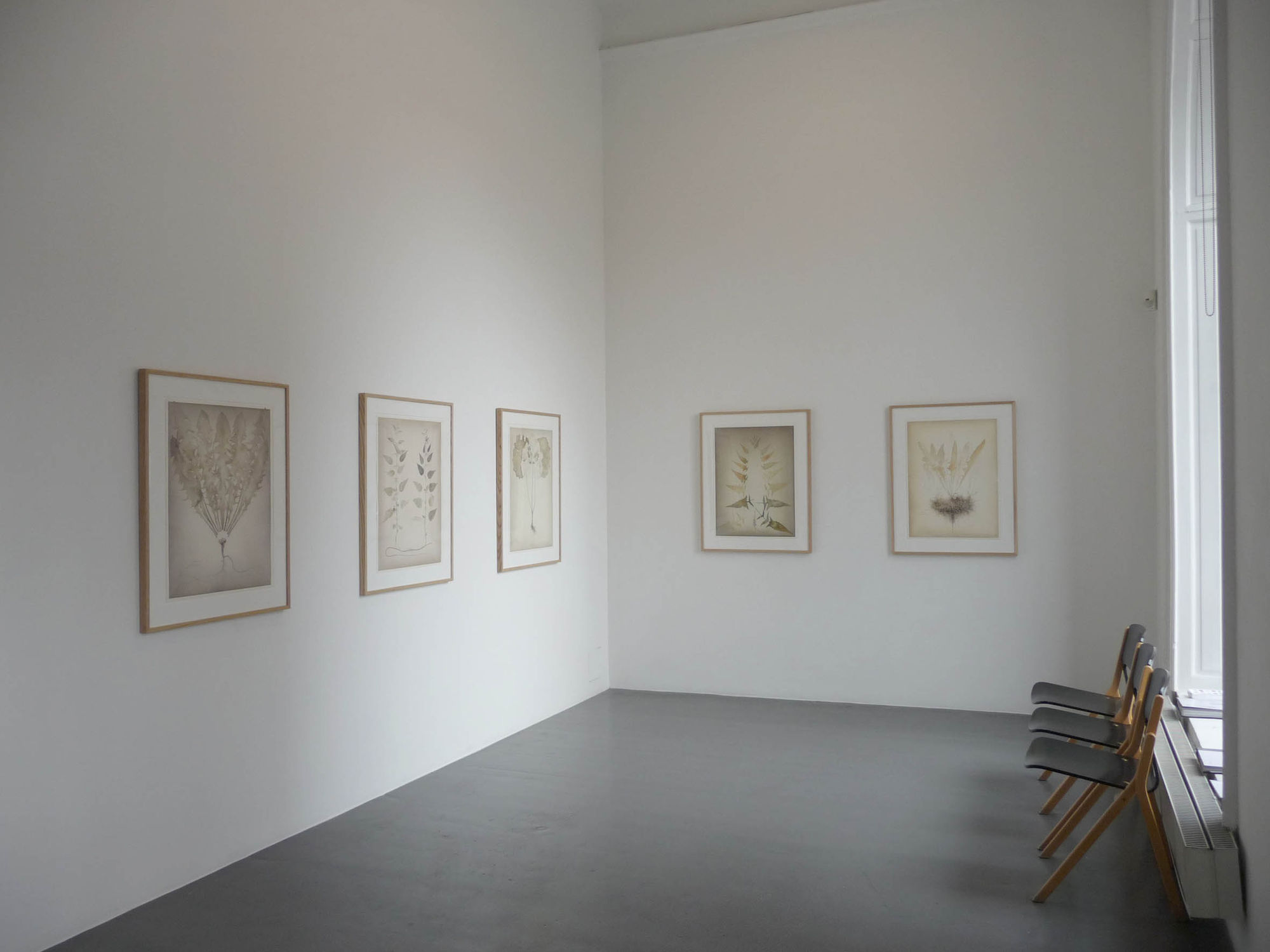 Roger Andersson | The Last Day