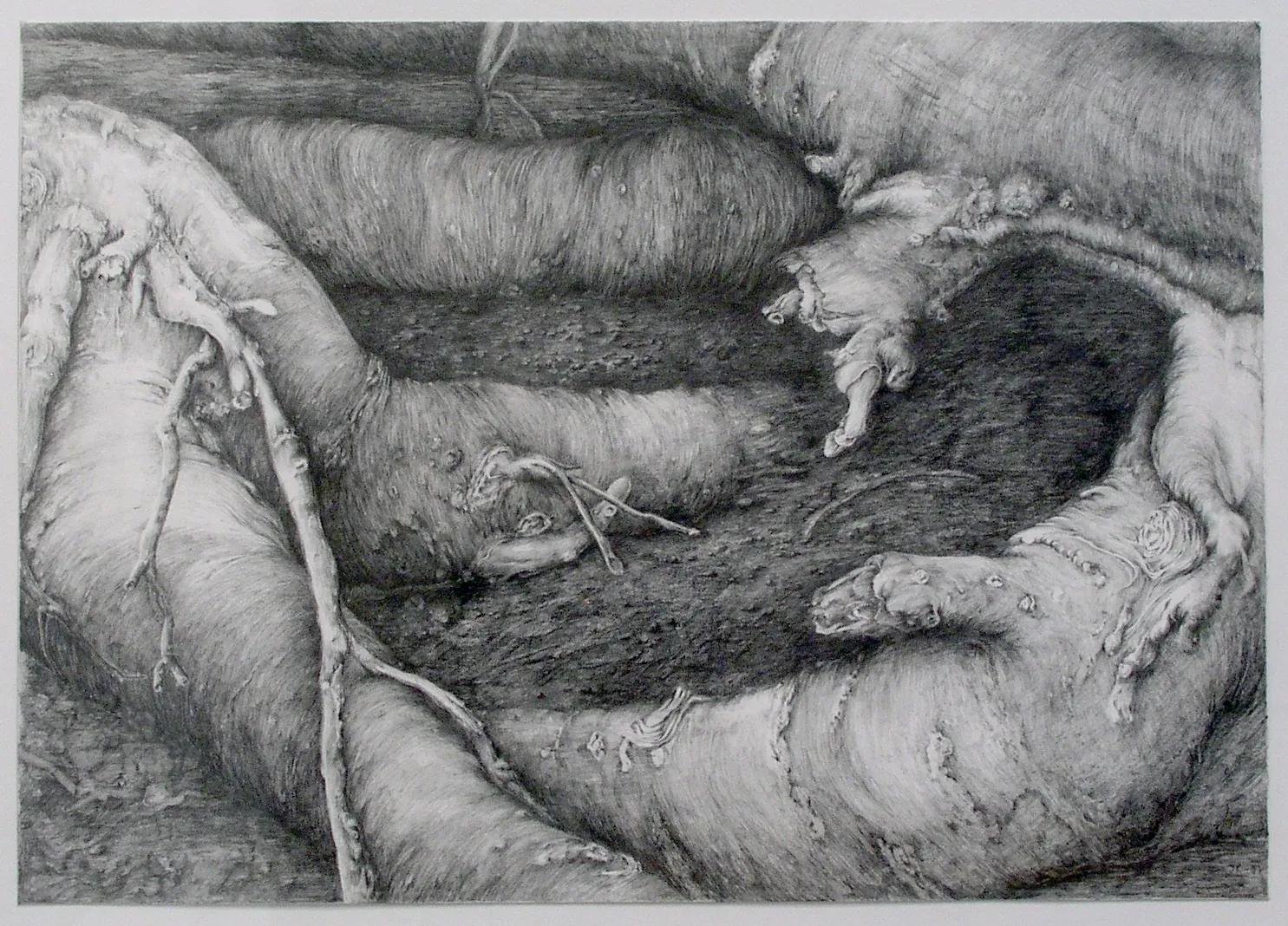 Johanna Karlsson | Sculptures and Drawings