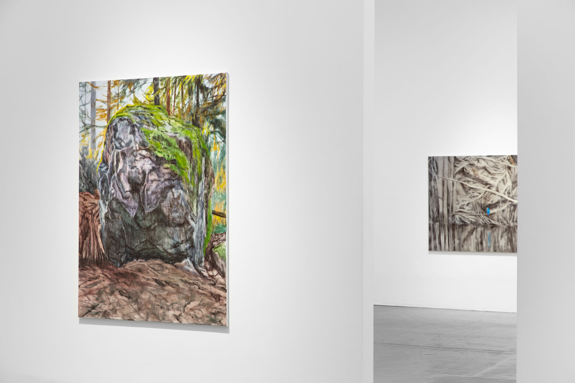 Susanne Johansson | Den obesvarade frågan / The Unanswered Question