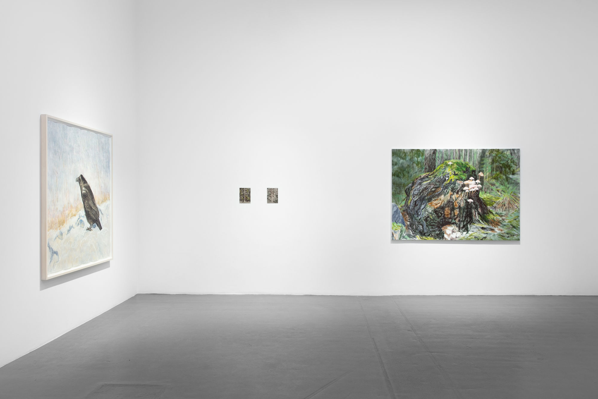 Susanne Johansson | Den obesvarade frågan / The Unanswered Question