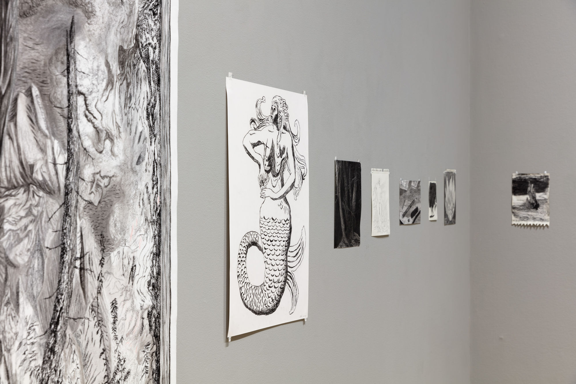 Jeff Olsson | Skogspalatset / Palace of the forest