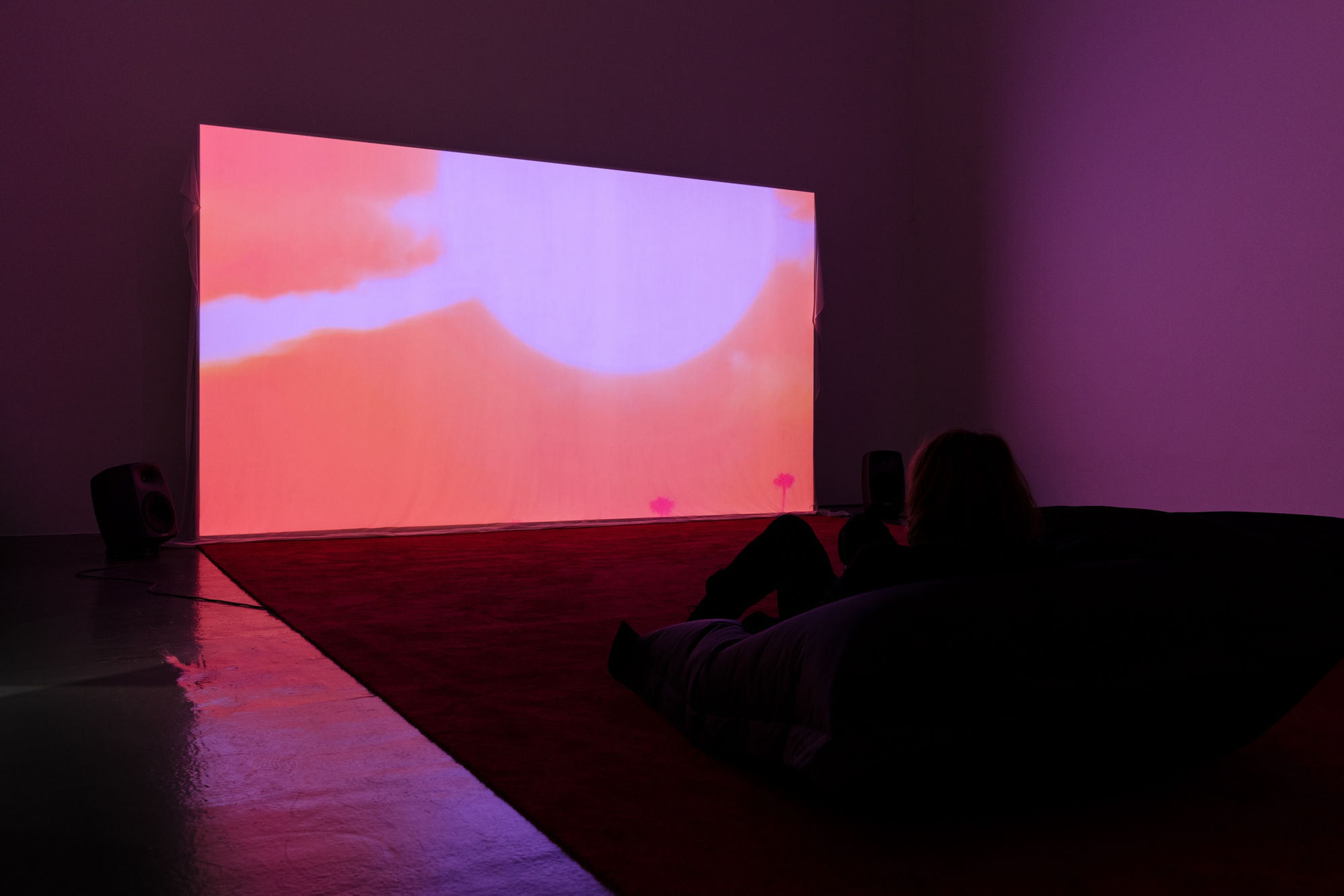 Fever | Petra Lindholm