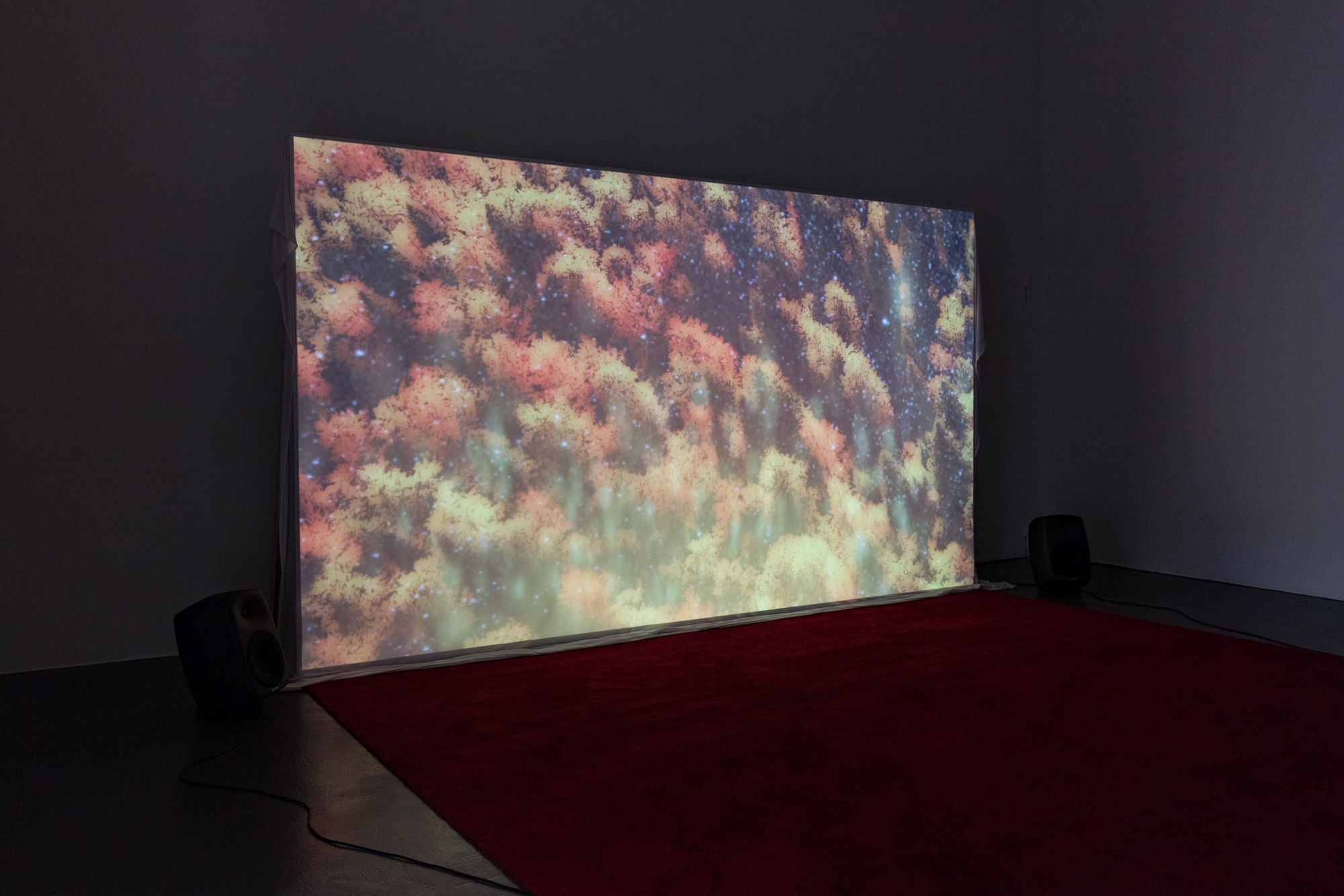 Fever | Petra Lindholm