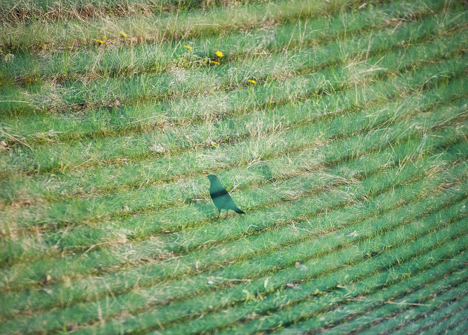 Ulf Lundin | Monumentet / The Monument