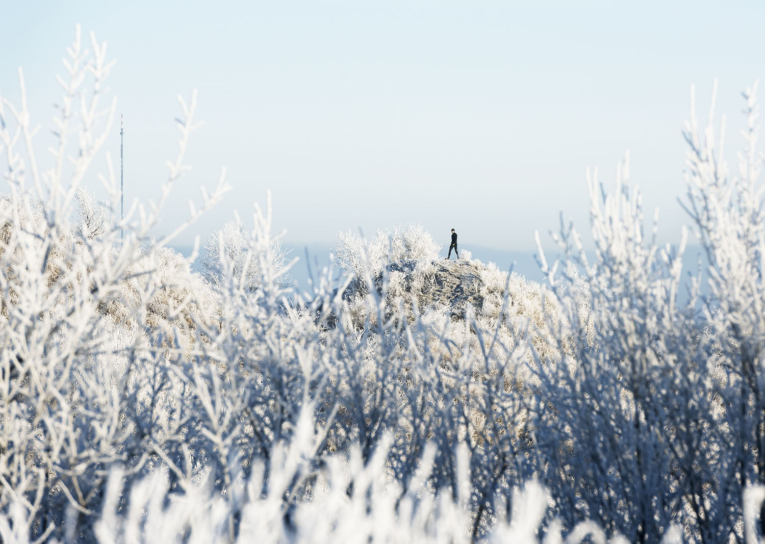 Ulf Lundin | Monumentet / The Monument