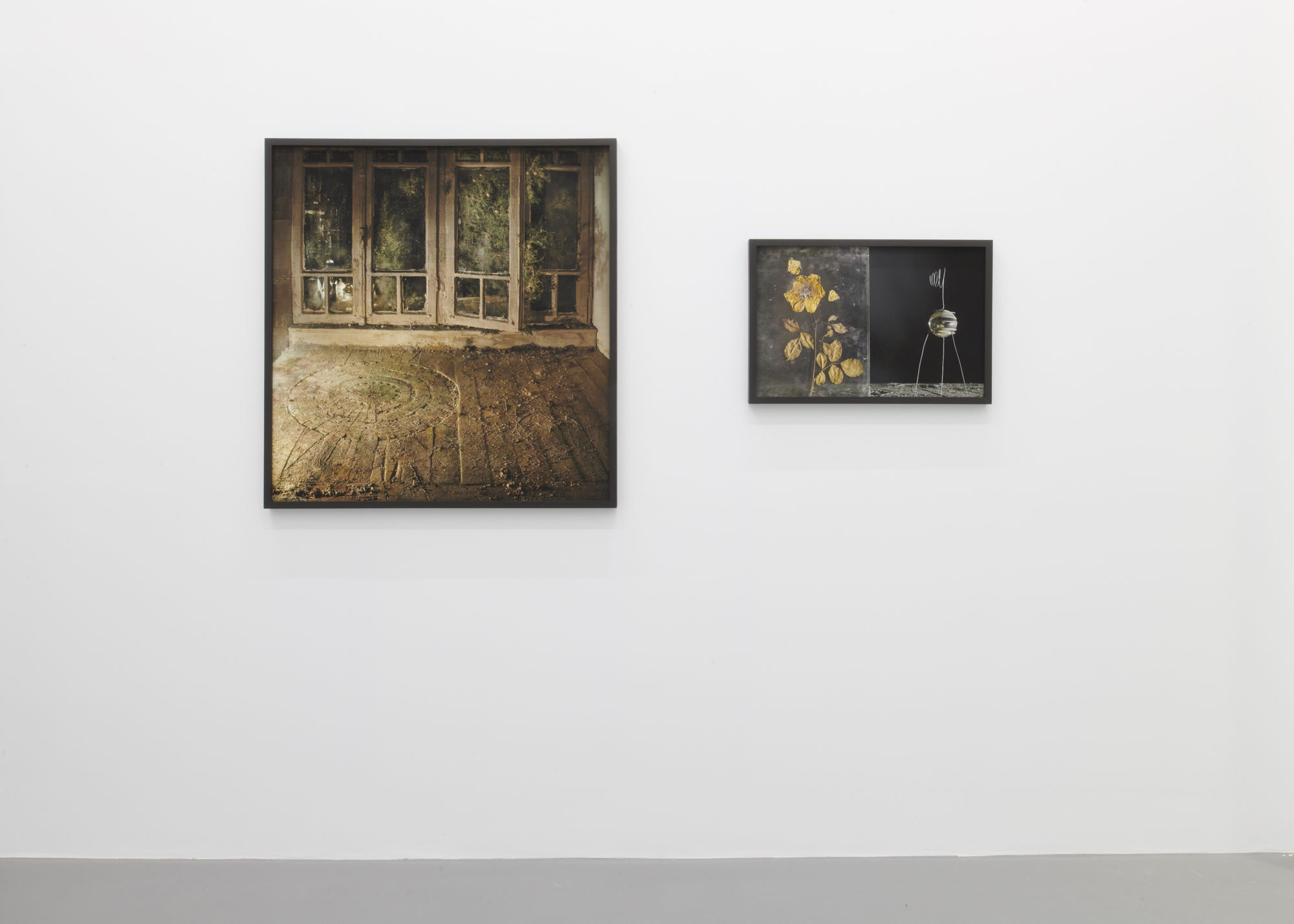 &copy; Guillaume Python