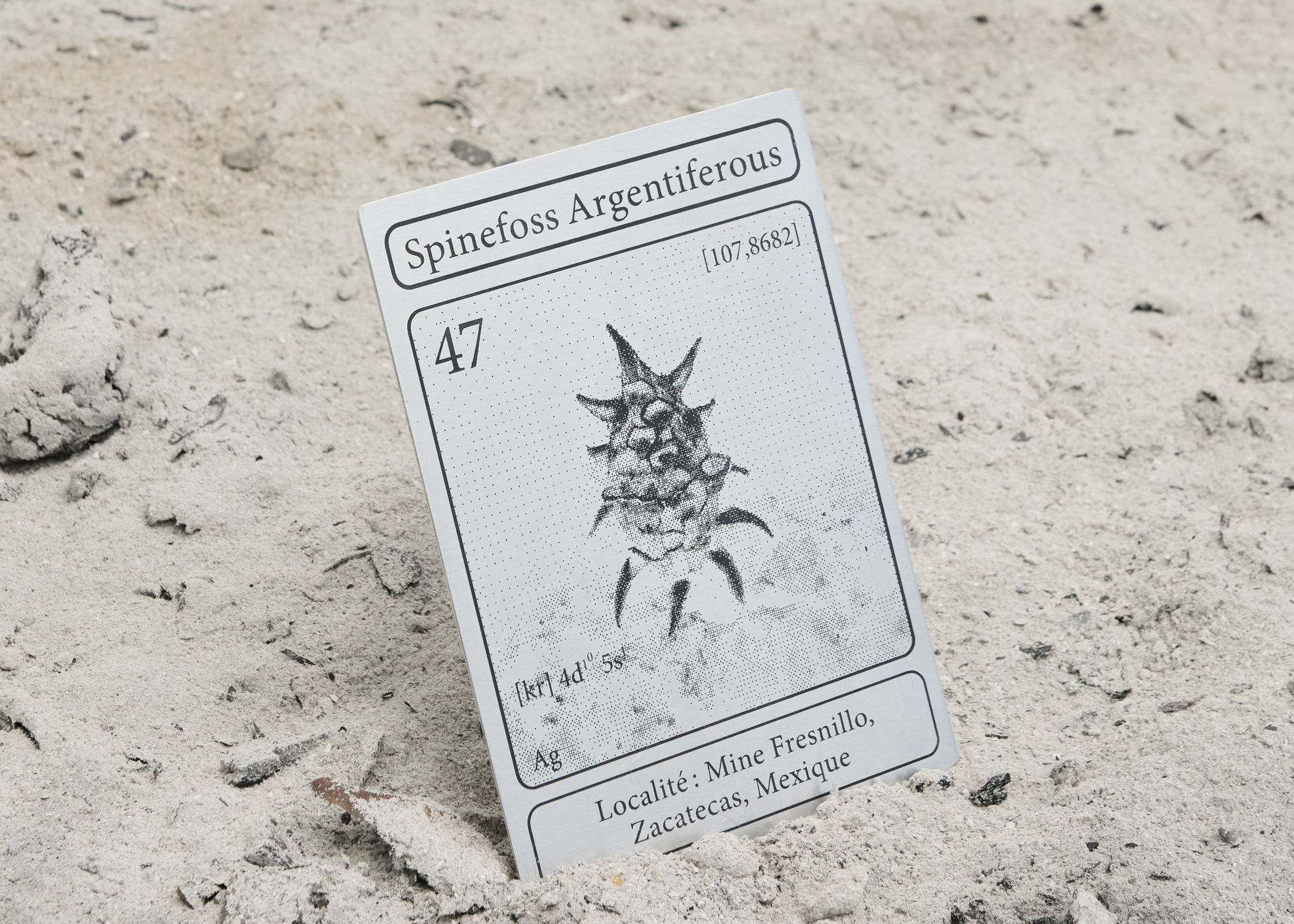 Elsa Wagnières, Là où rien ne devait pousser, Fabienne Levy Lausanne, 2025 © Léa Isoard