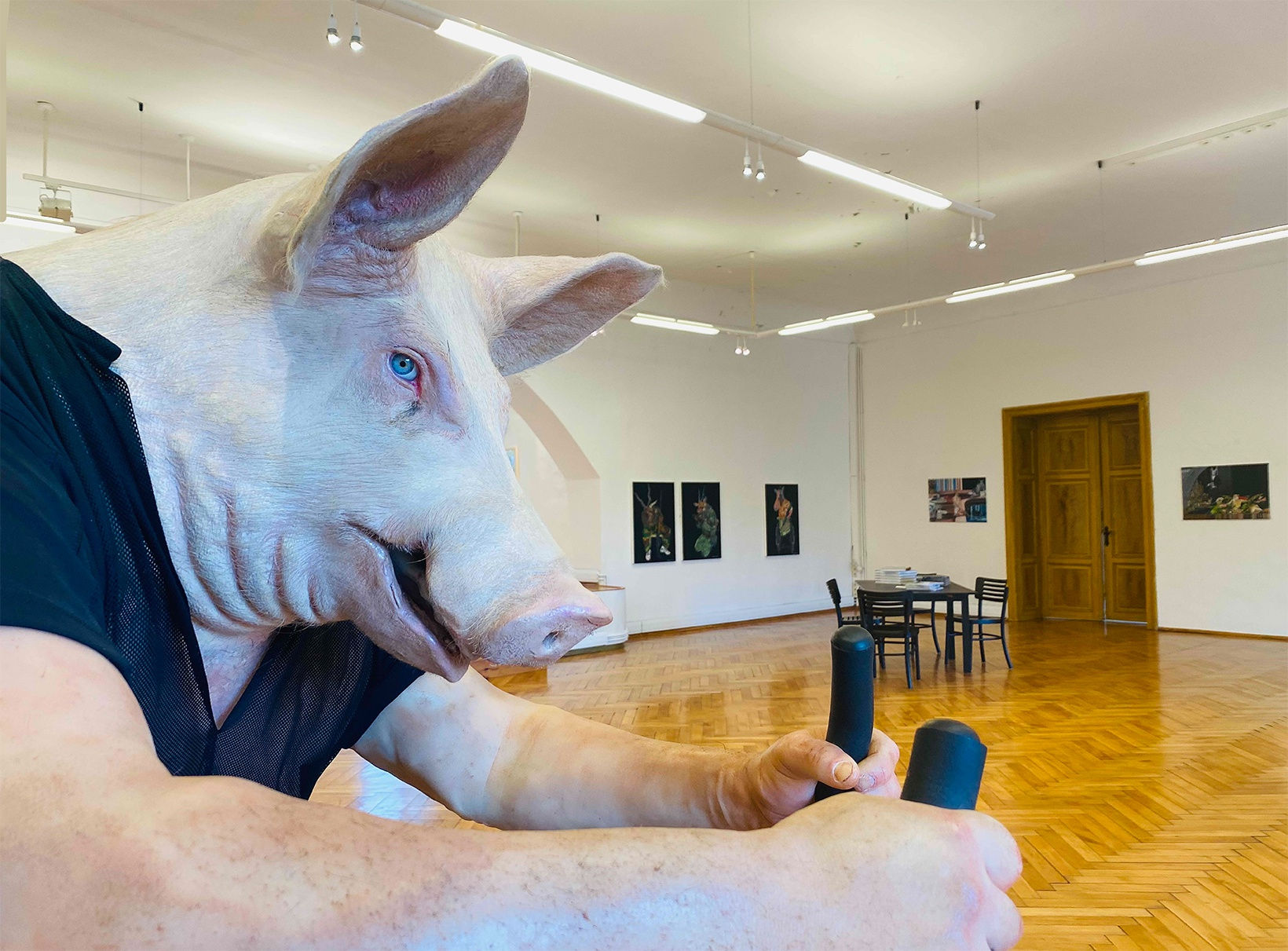 Deborah Sengl, Soloexibition, Trouble in Paradise, Blick in die Ausstellung @ [FKc] FORUM KUNST contemporary