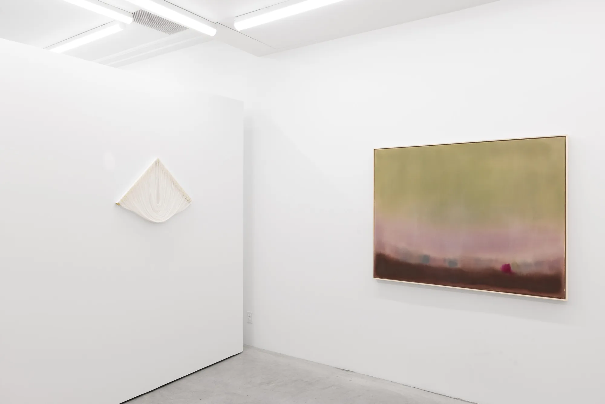 DIFFUSED EXPRESSIONS