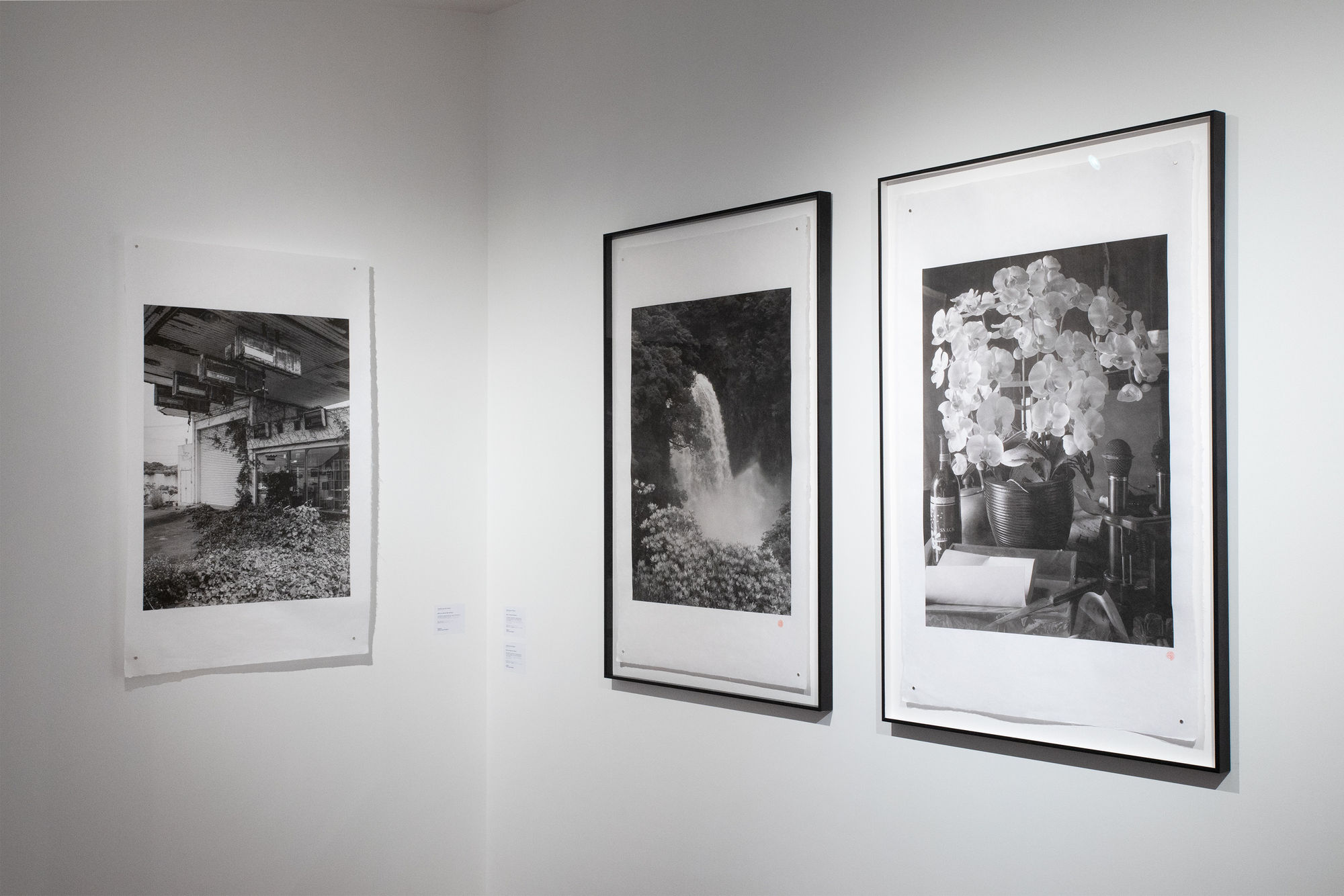 Rebirth - Pierre-Elie de Pibrac et Yoshimi Futamura