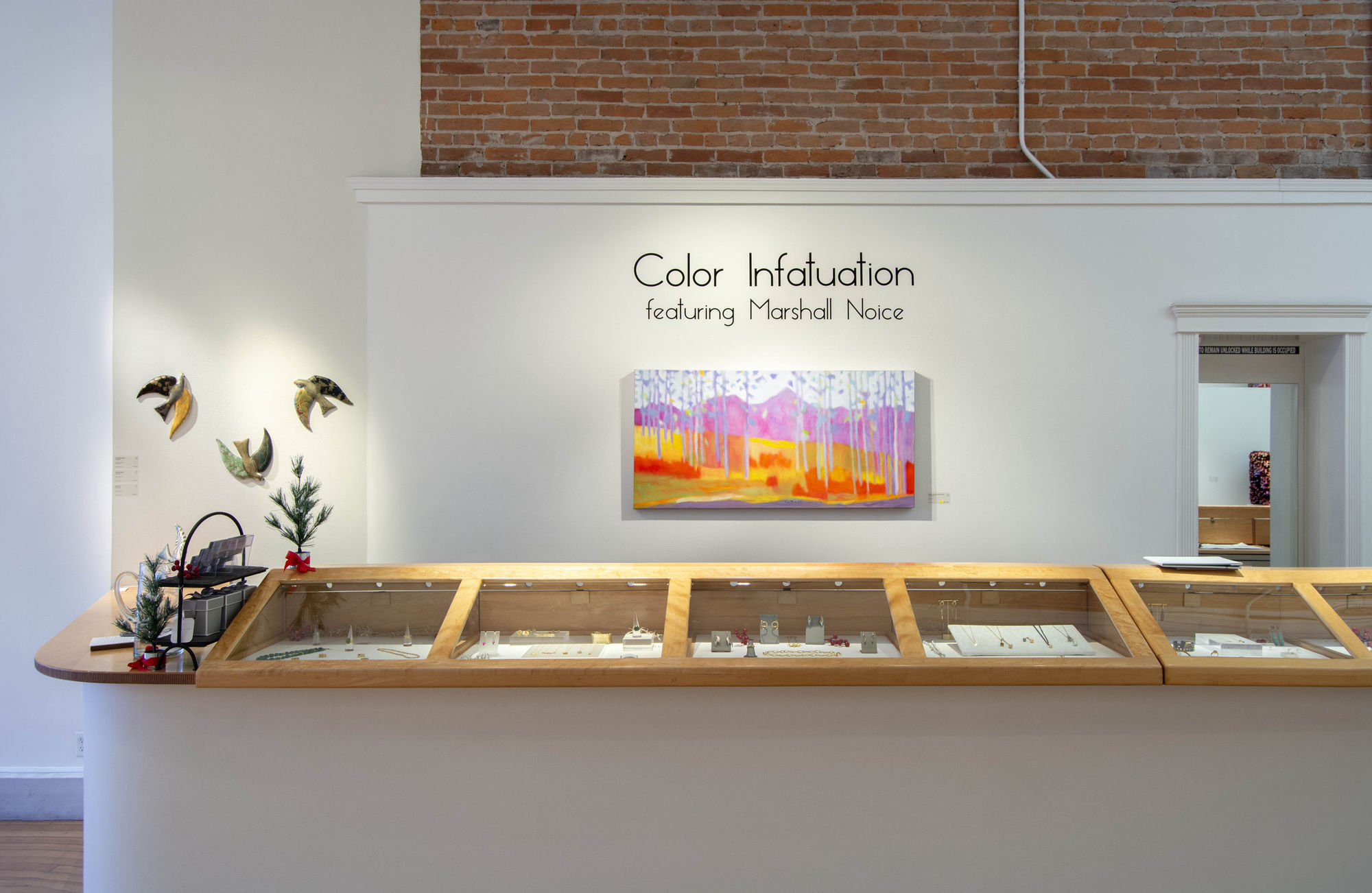 Color Infatuation: A Group Show featuring Marshall Noice