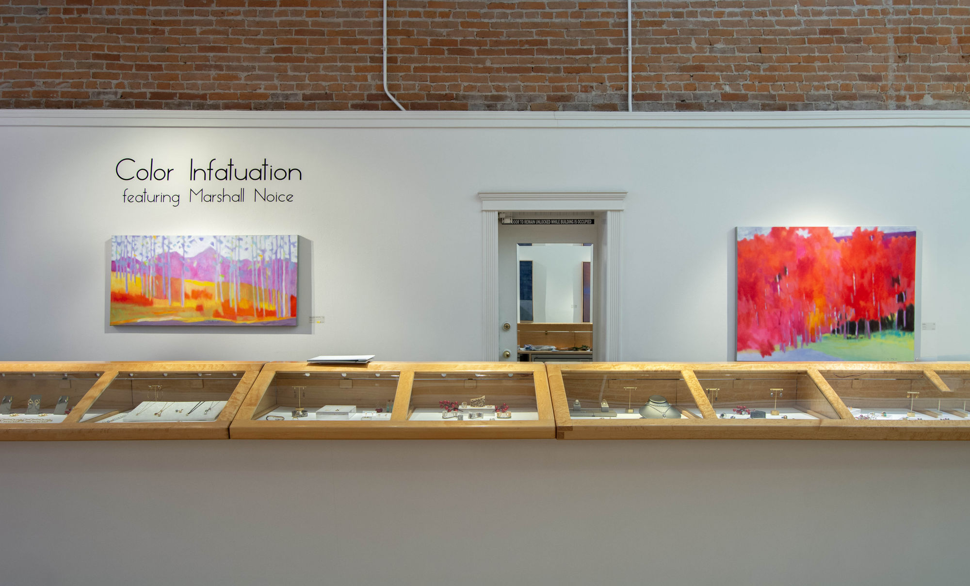 Color Infatuation: A Group Show featuring Marshall Noice