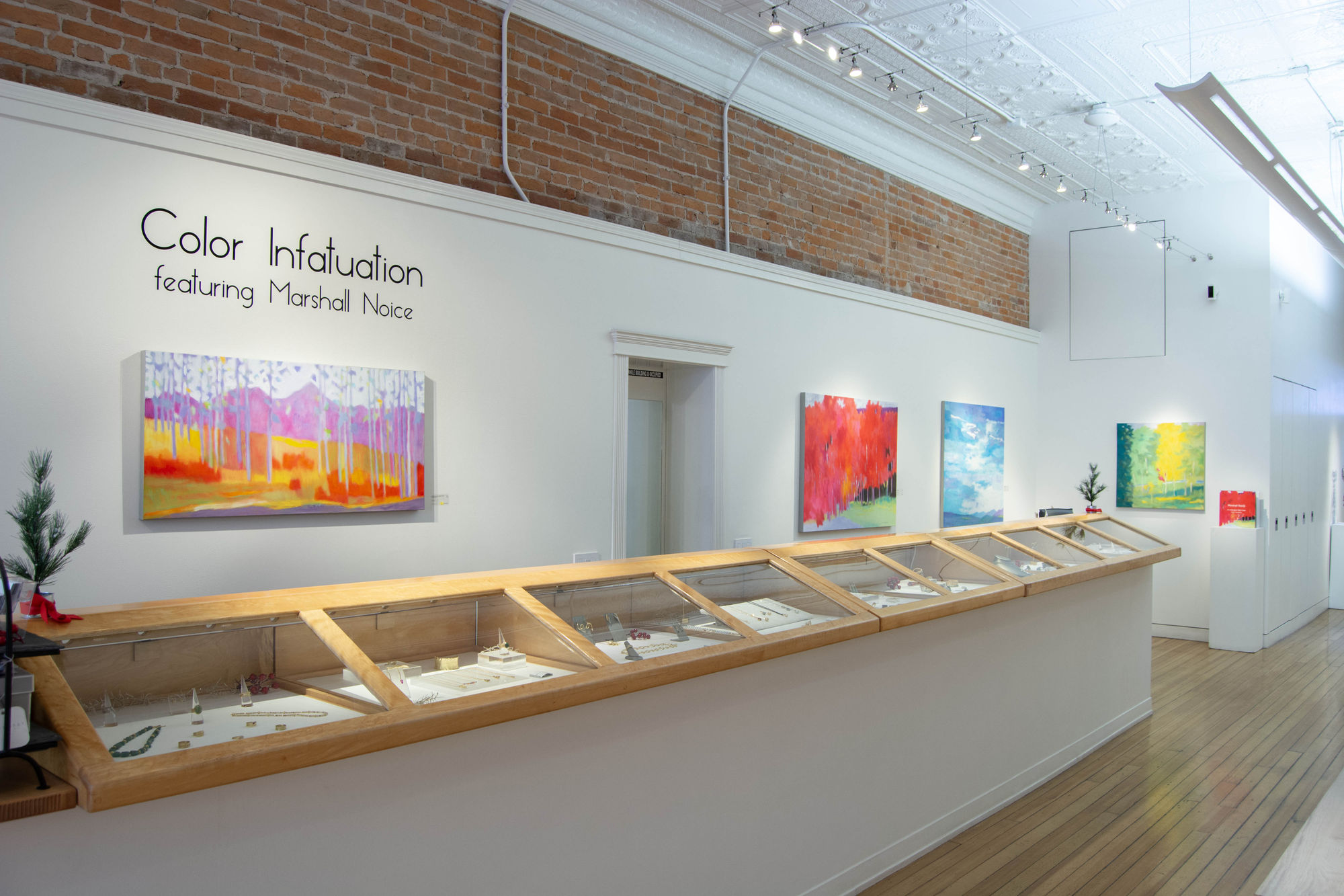 Color Infatuation: A Group Show featuring Marshall Noice