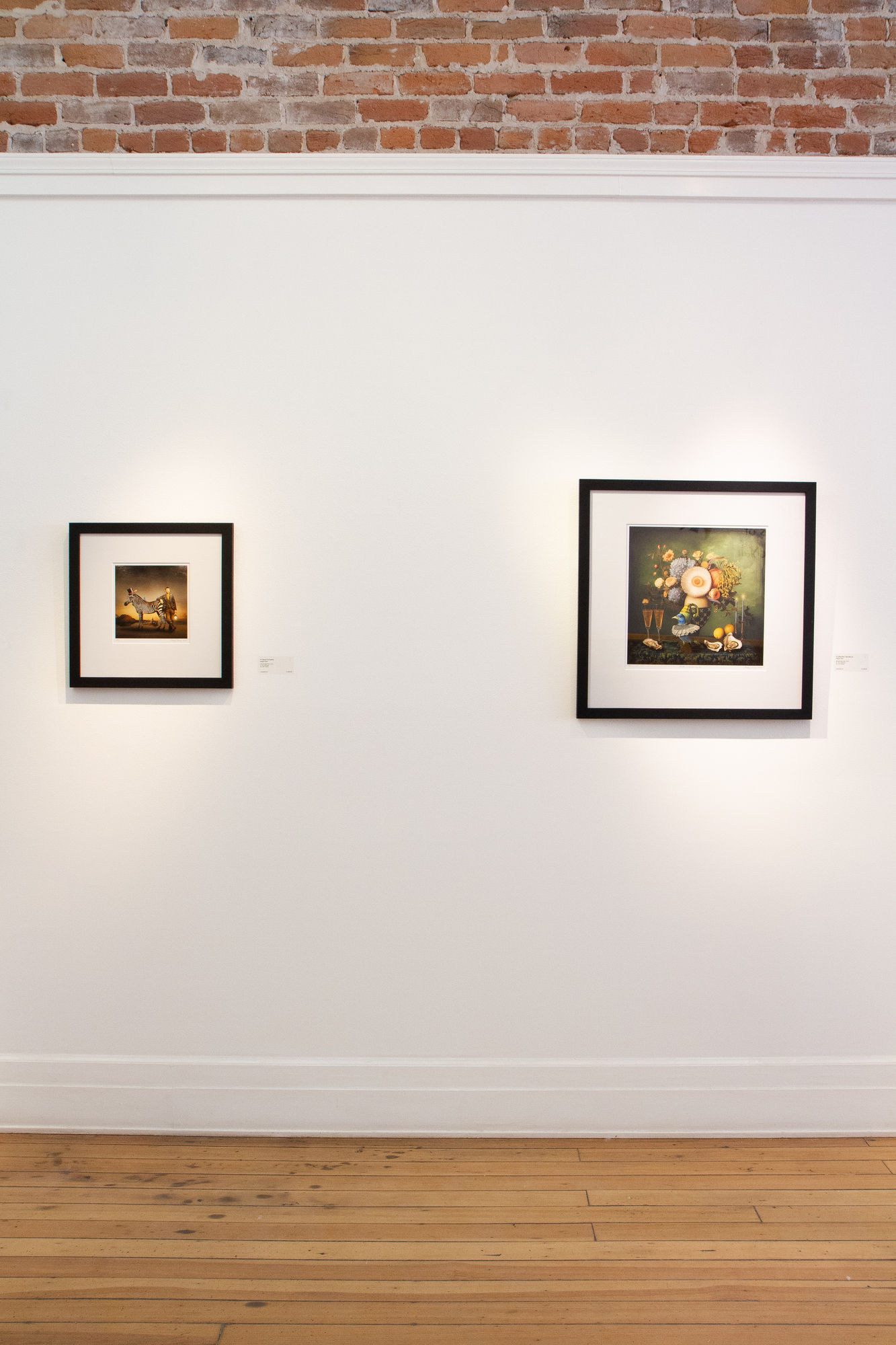 Elsewhere: The Collected Curiosities of Maggie Taylor and Julie McNair