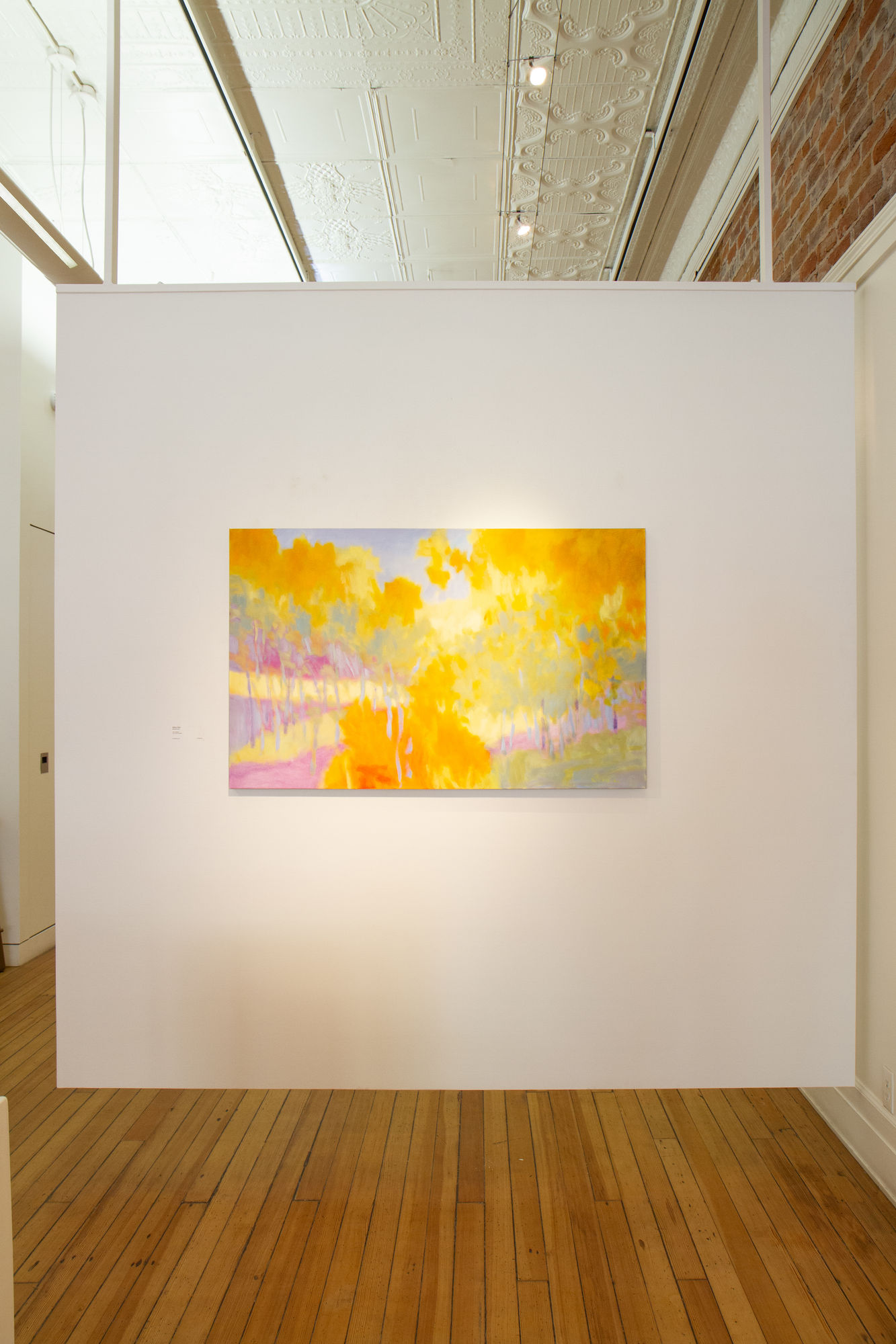 Marshall Noice: Acclamations