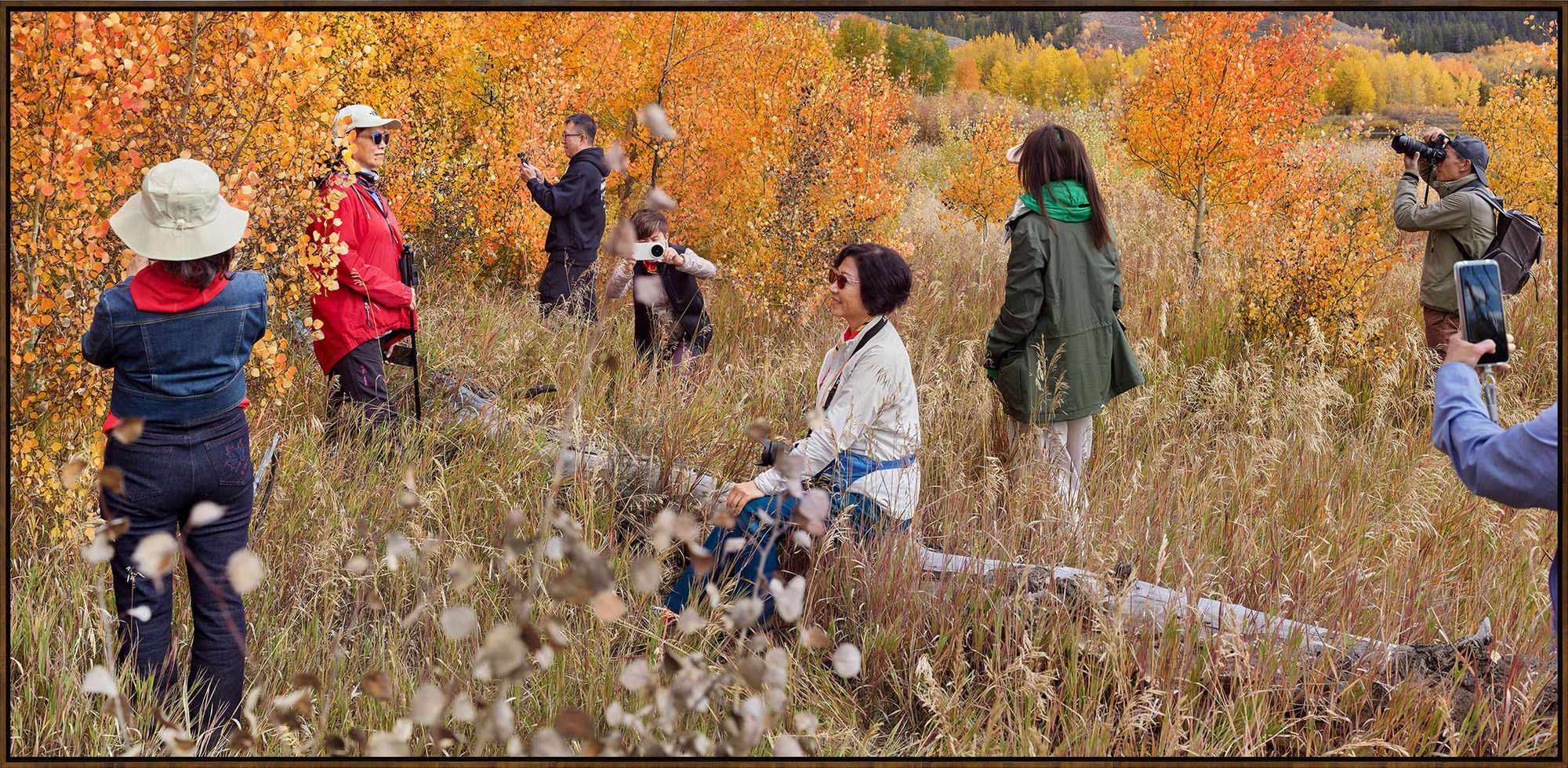 Peak Colors, 2025, Archival Pigment Print, 70 x 132.5 inches (177.8 x 336.6 cm), Edition of 1, 1 Museum Proof, 1 AP