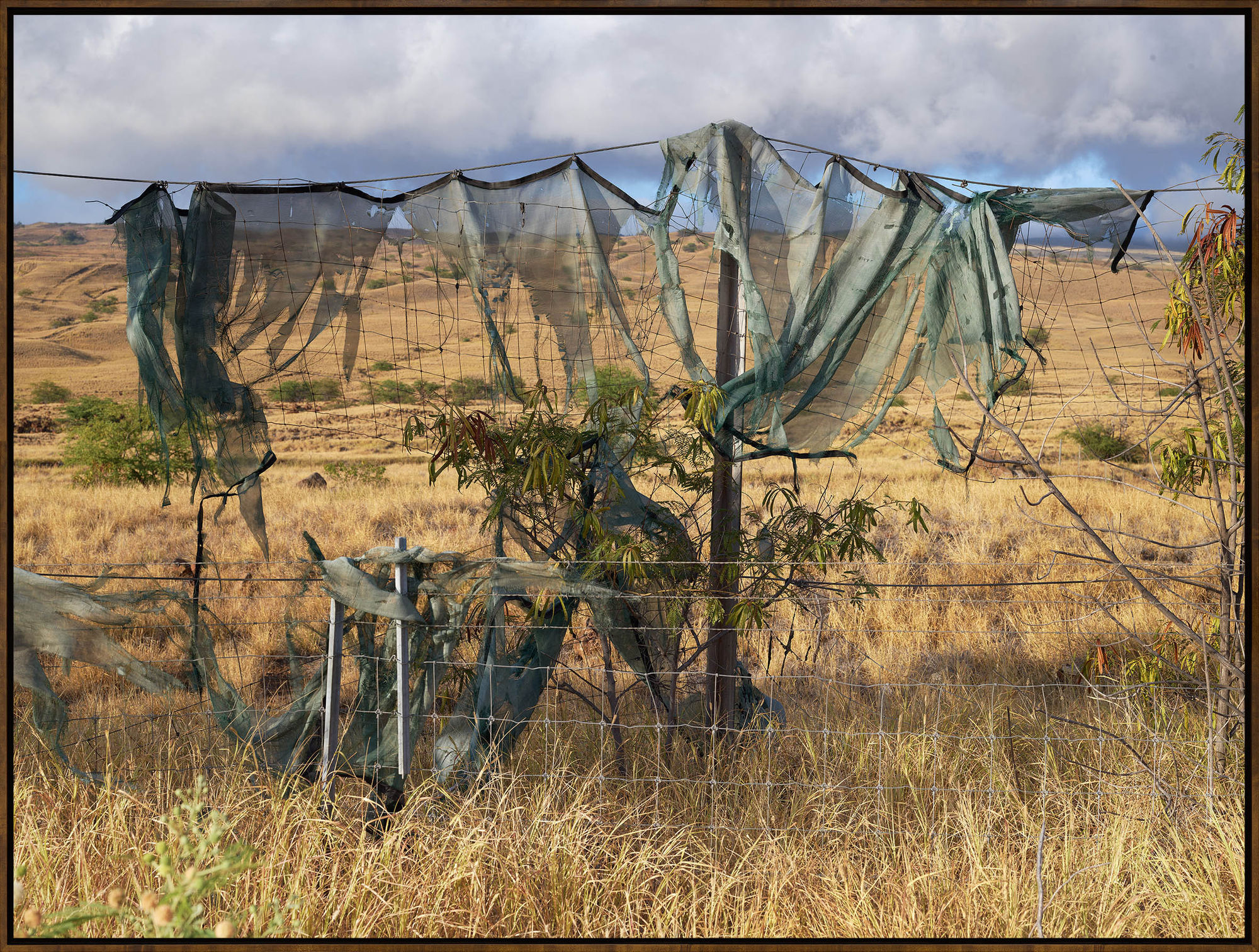 Hawaii Torn Fabric 19845, 2021, Archival Inkjet Print, Dimensions Variable