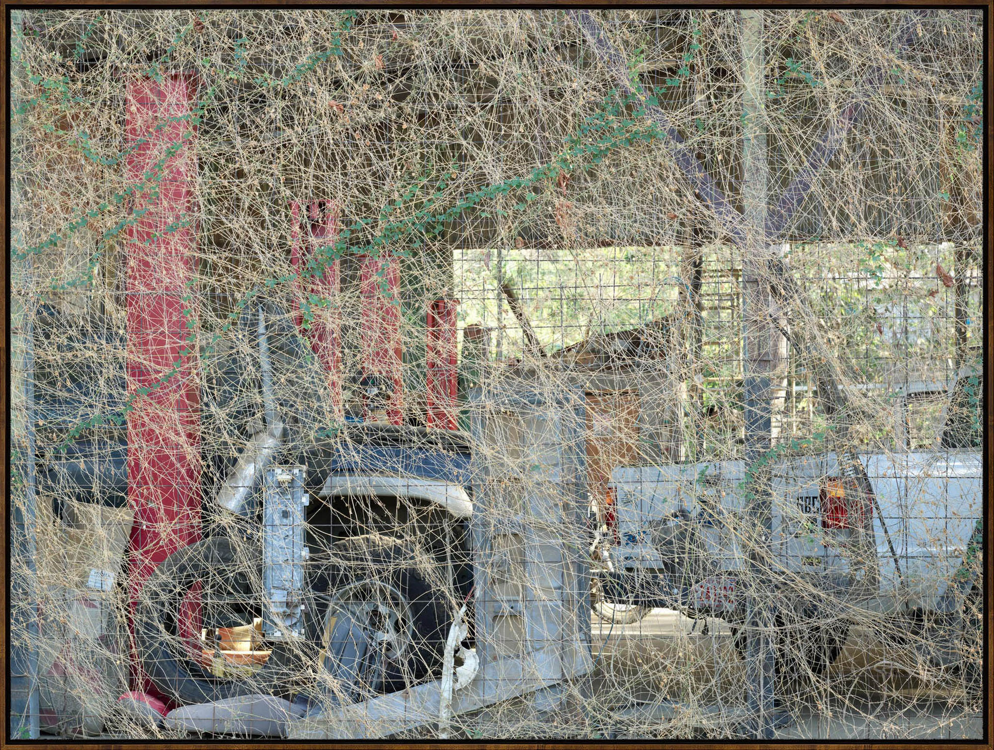 Costa Rica 1056, 2019, Archival Pigment Print, Dimensions Variable