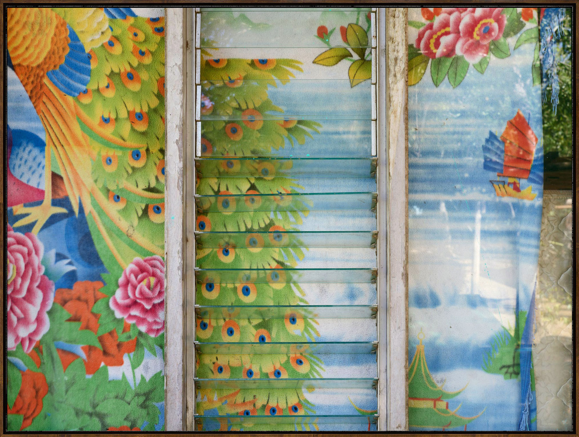 Costa Rica 1495, 2016, Archival Pigment Print, Dimensions Variable