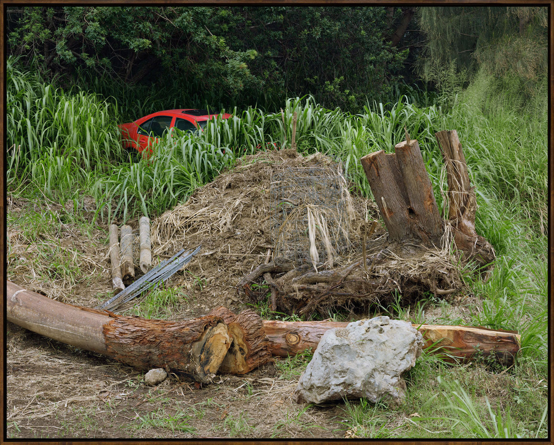 Red Car, 2016, Archival Pigment Print, Dimensions Variable