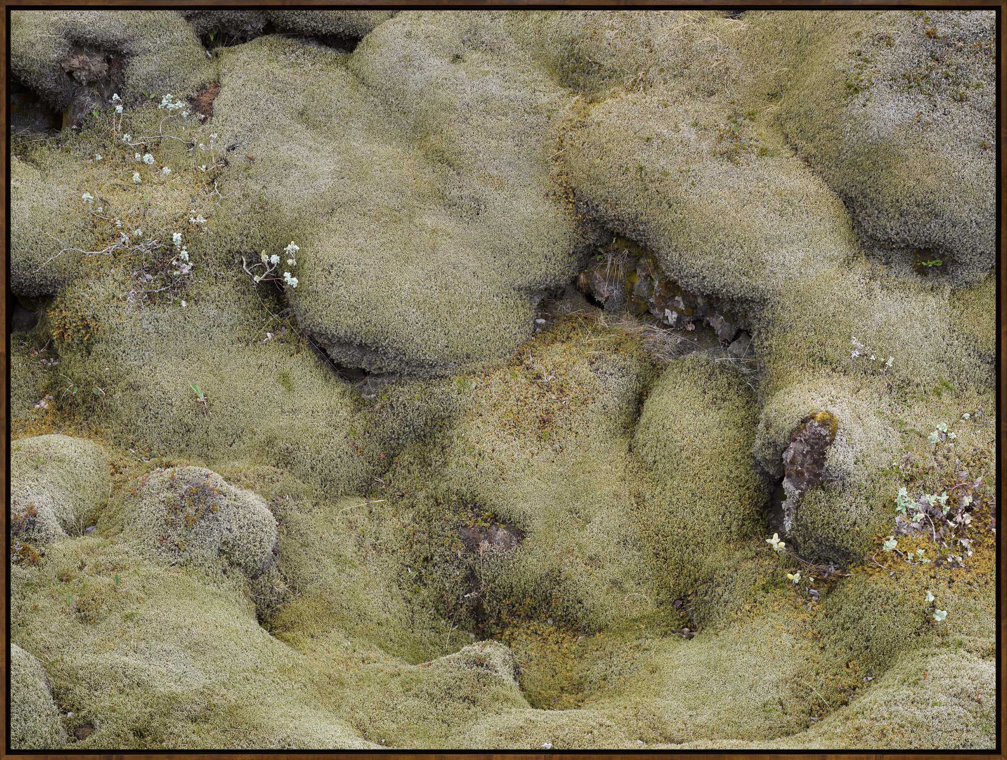 Iceland 18811, 2016, Archival Pigment Print, Dimensions Variable