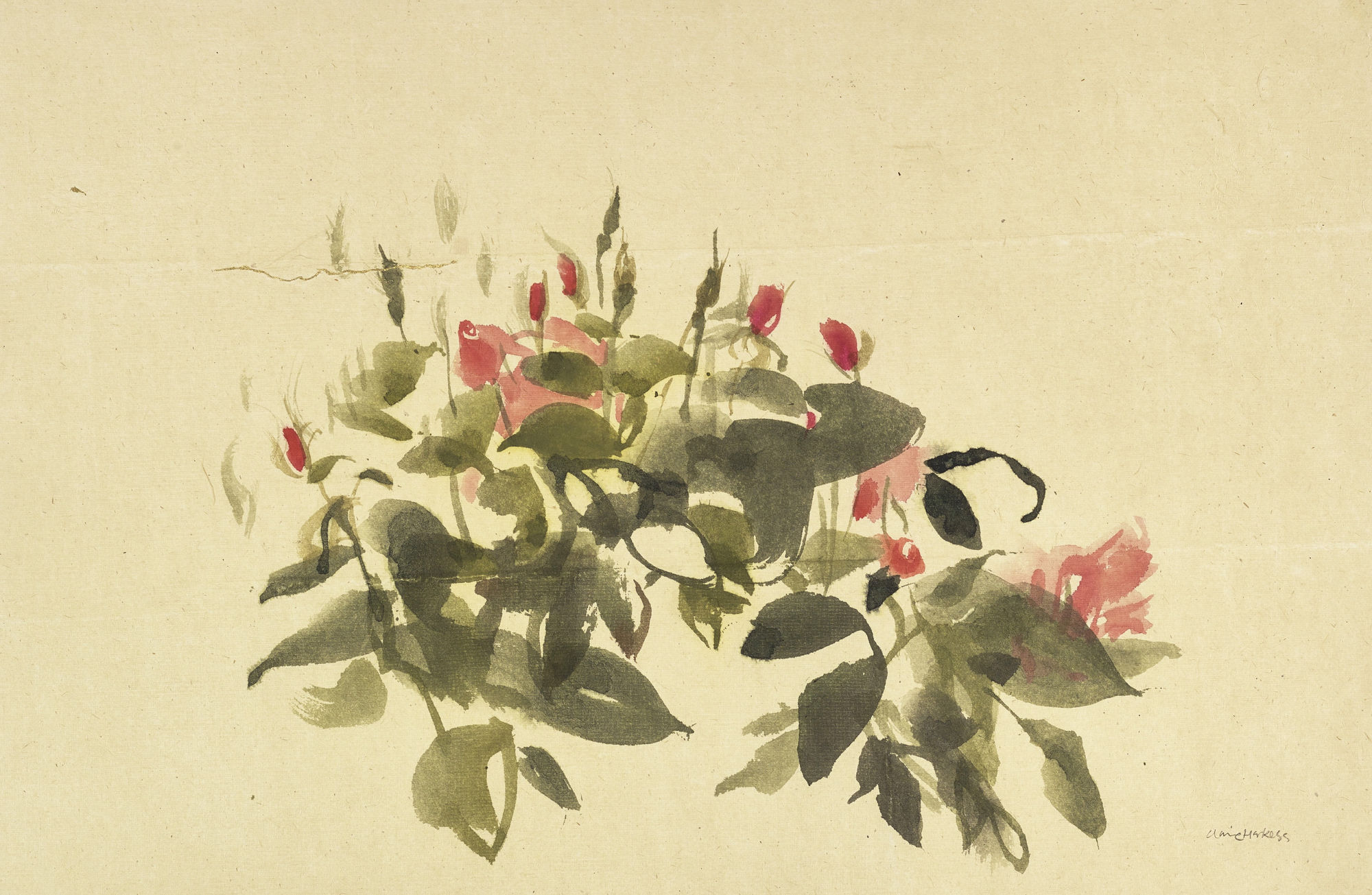 Claire Harkess, Summer Buds