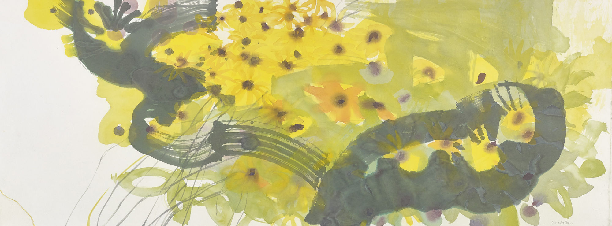 Claire Harkess, Black-eyed Susan II