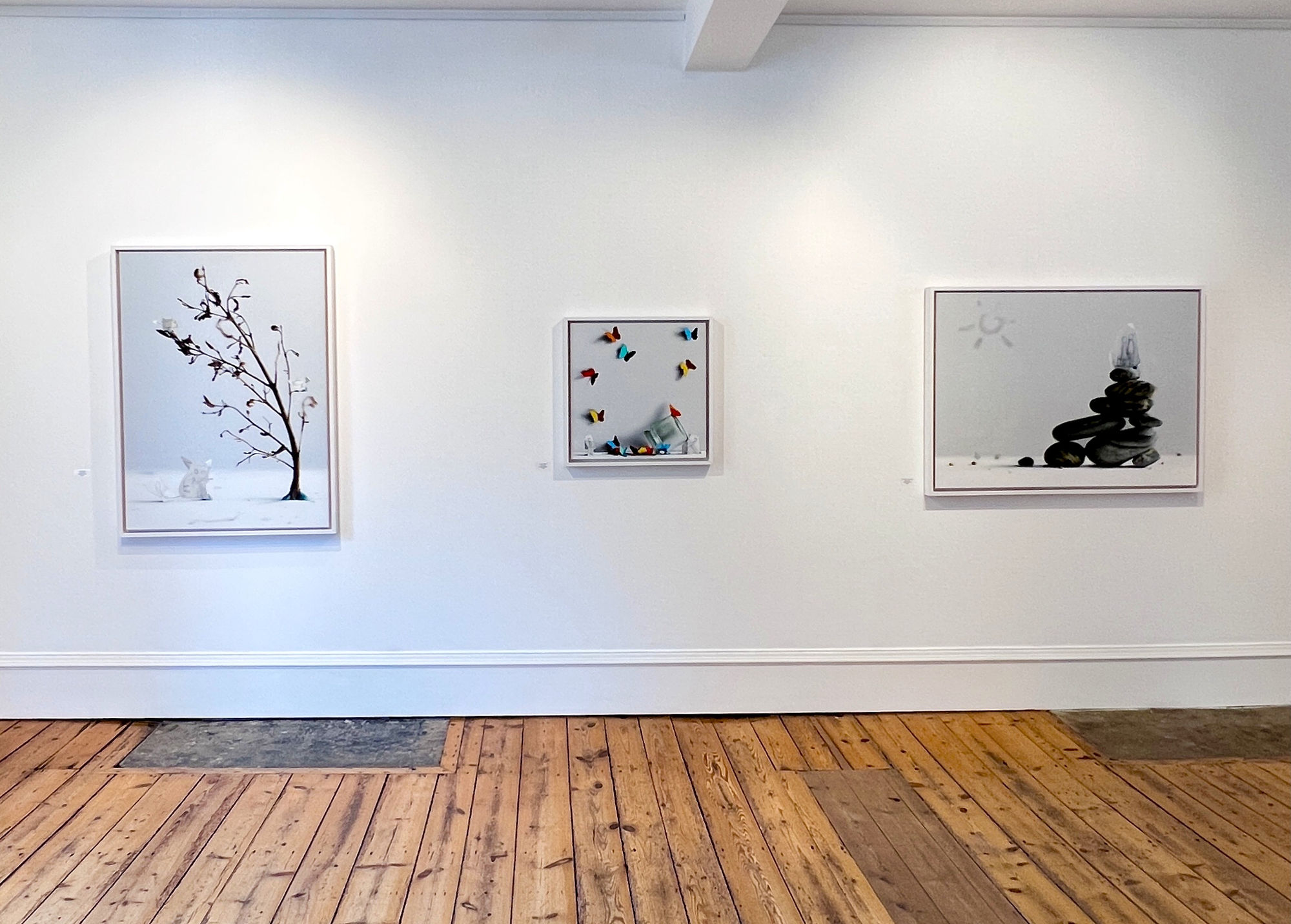 Playing with Perception