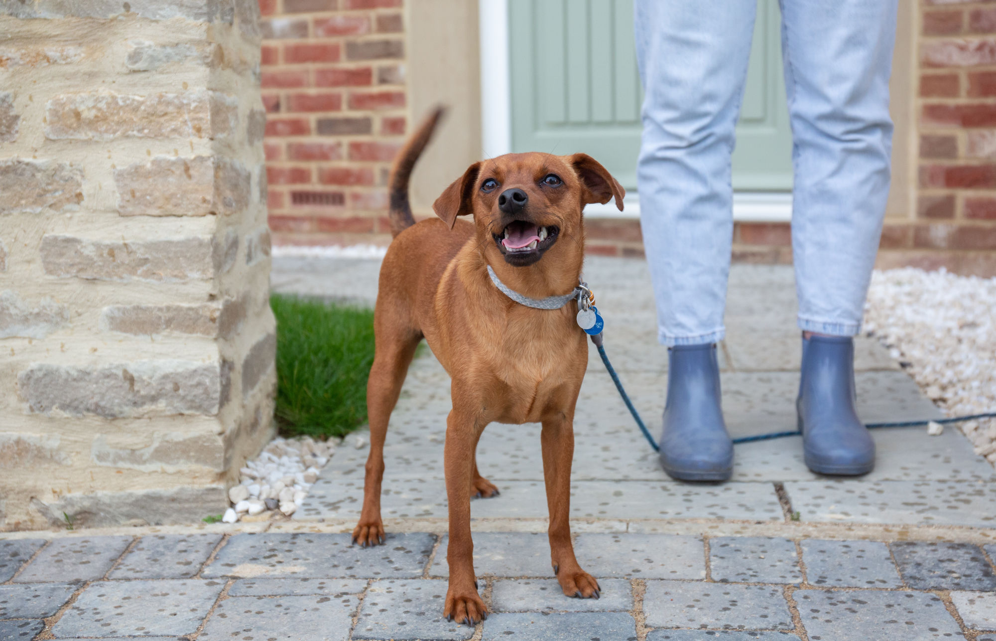 Roux Harley Jackson Park View 70 x 45 cm