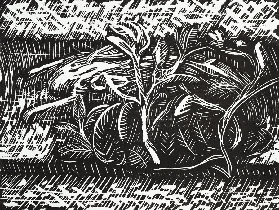 Bloxham Explorations