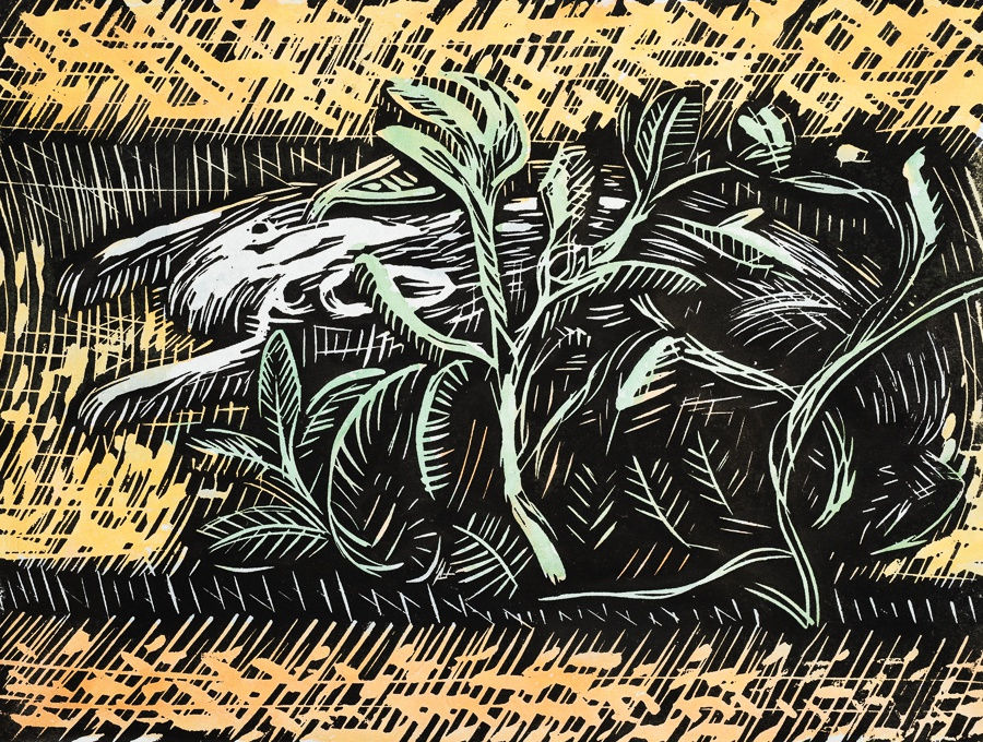 Bloxham Explorations