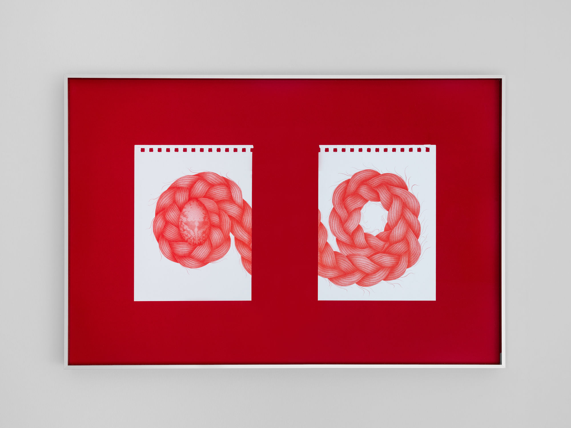 María Fragoso Jara Dos nidos, 2026 Colored pencil on paper 44 x 66 x 3.6 cm (17.3 x 26 x 1.4 in)