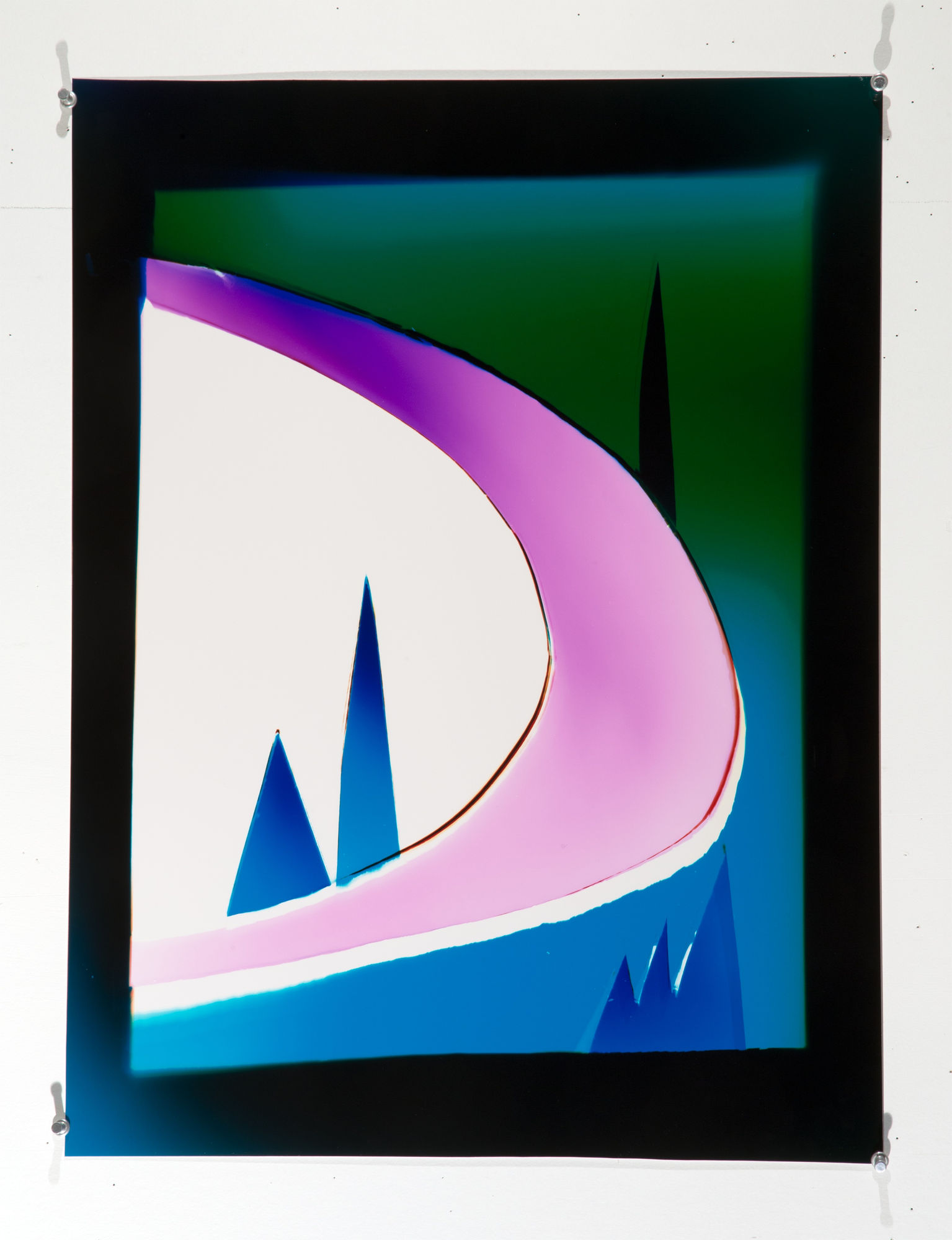 Liz Nielsen Black Diamond, 2018 Analog chromogenic photogram on Fujiflex 23 x 18 in 58.42 x 45.72 cm