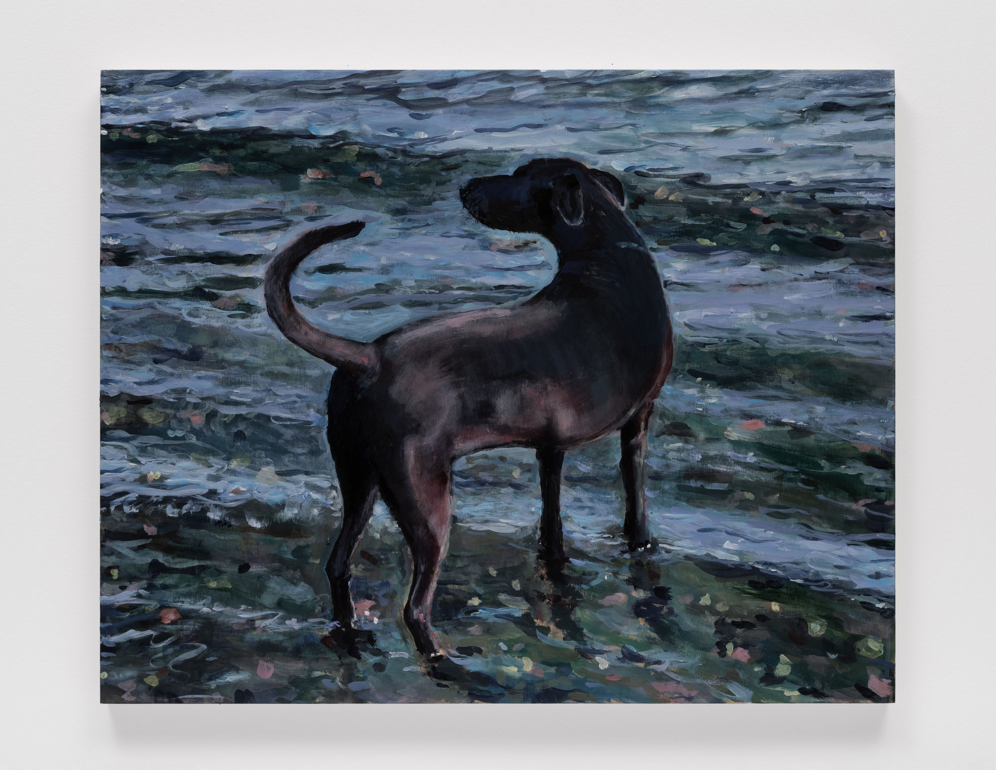Nancy Friedland Scout in Shallow Water, 2024 Acrylic on wood panel 24 x 30 in 61 x 76.2 cm