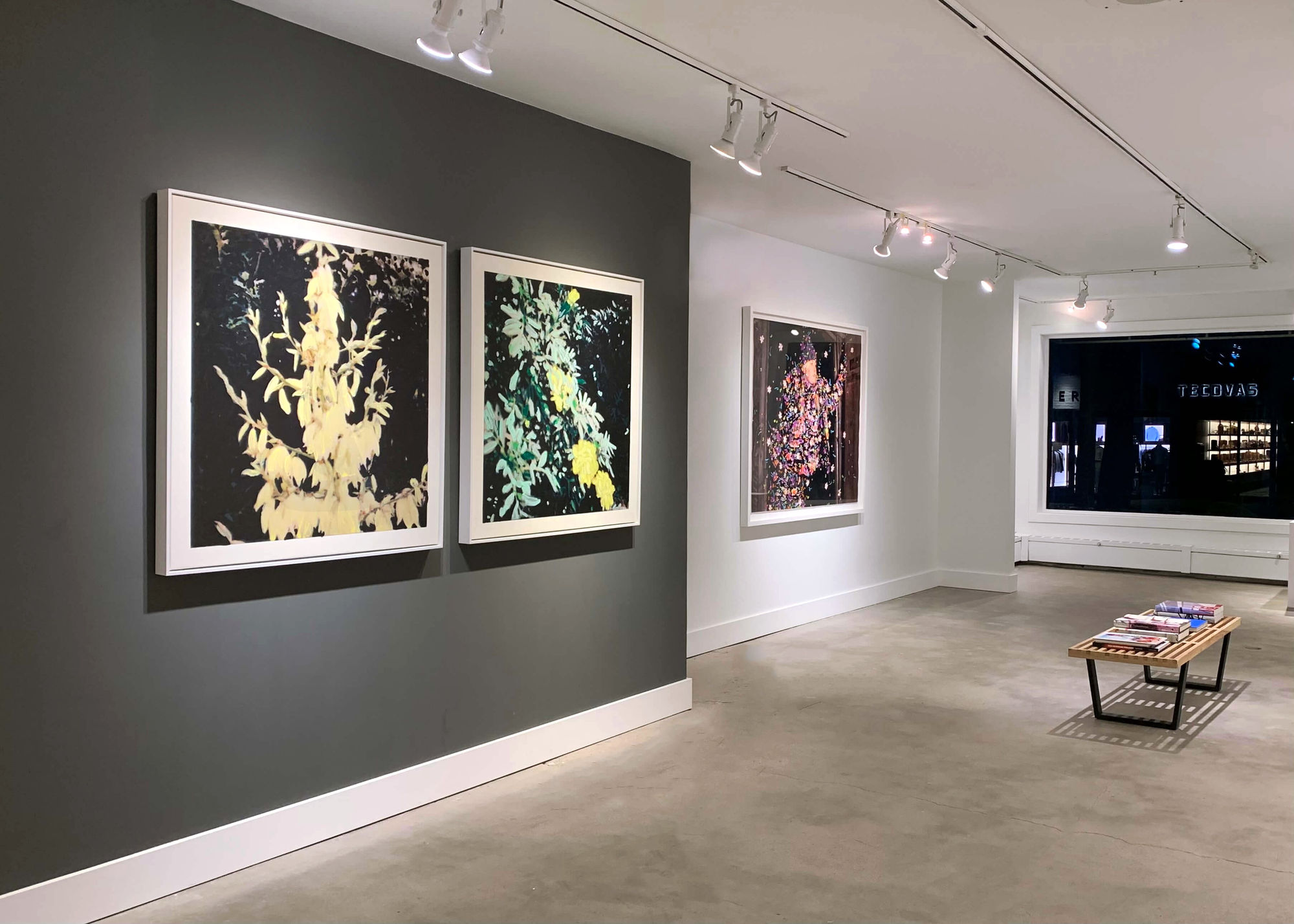 OUT OF THE BLUE 21 June - 6 July 2021 Aspen, Colorado