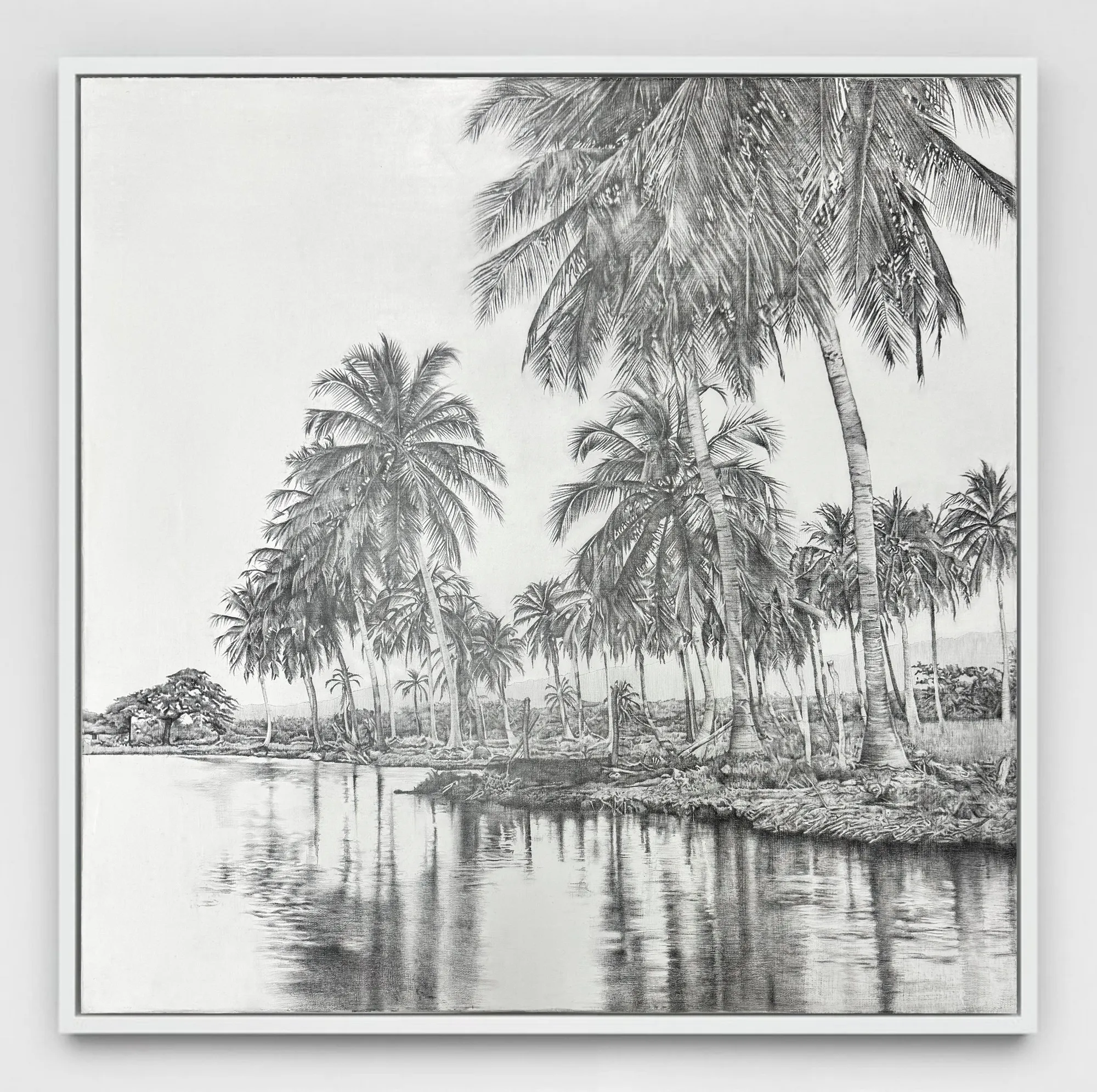 Carlos Rolón Study for Coconut Palms, Kingston Harbour, Jamaica, 2025 Graphite and latex on canvas 24 x 24 in 61 x 61 cm