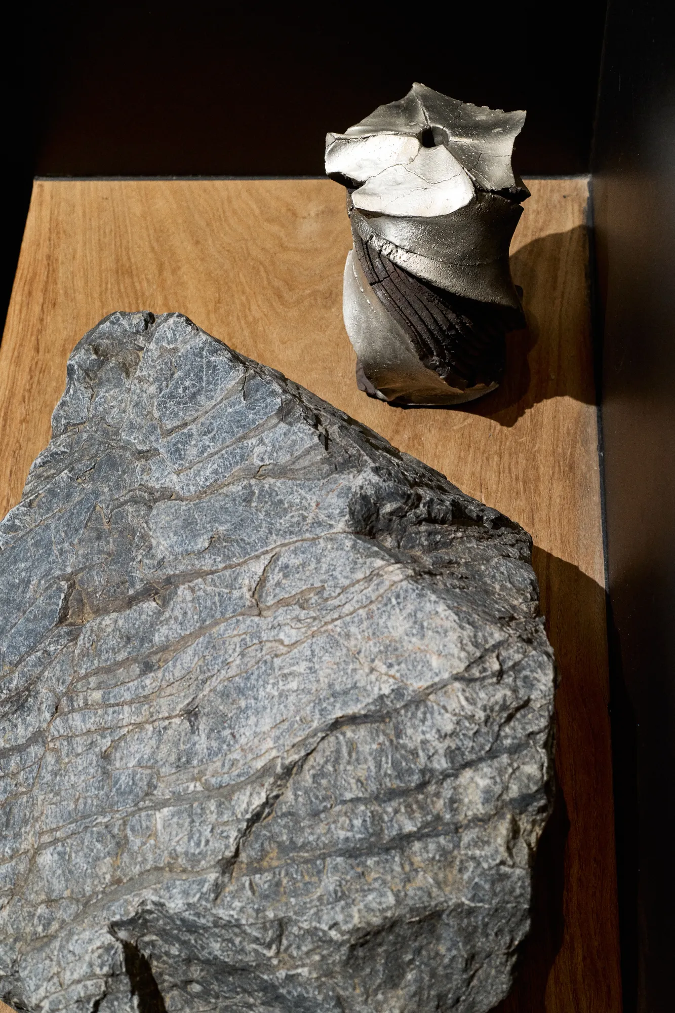 道川省三 & トレイ・トレイハン：山の音