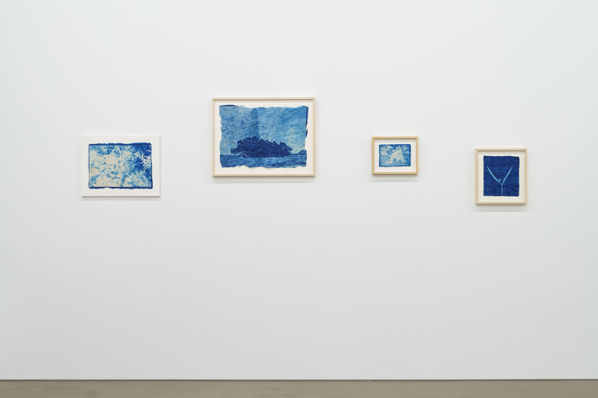 堀江 美佳: 雪解け水